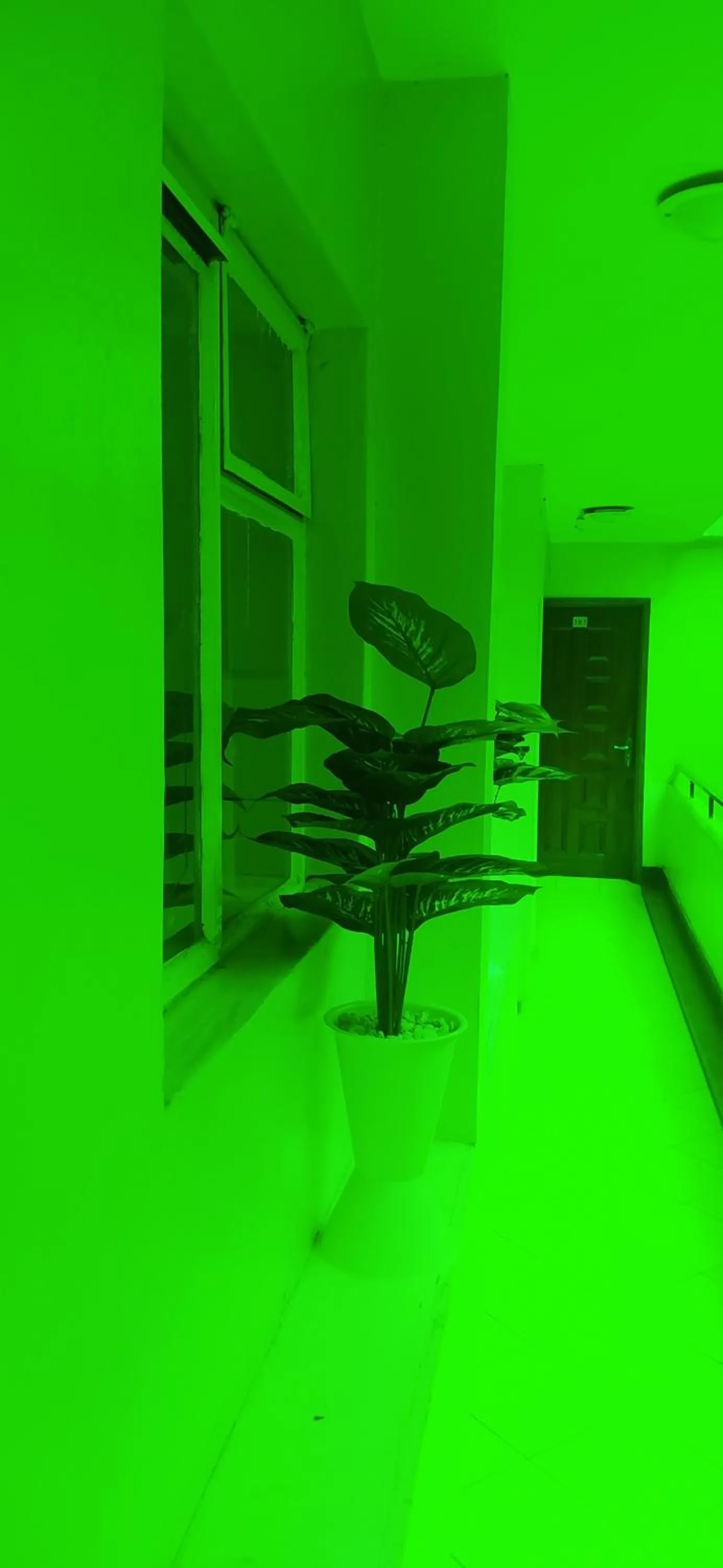 Balcony/Terrace in Plus254 Hotel