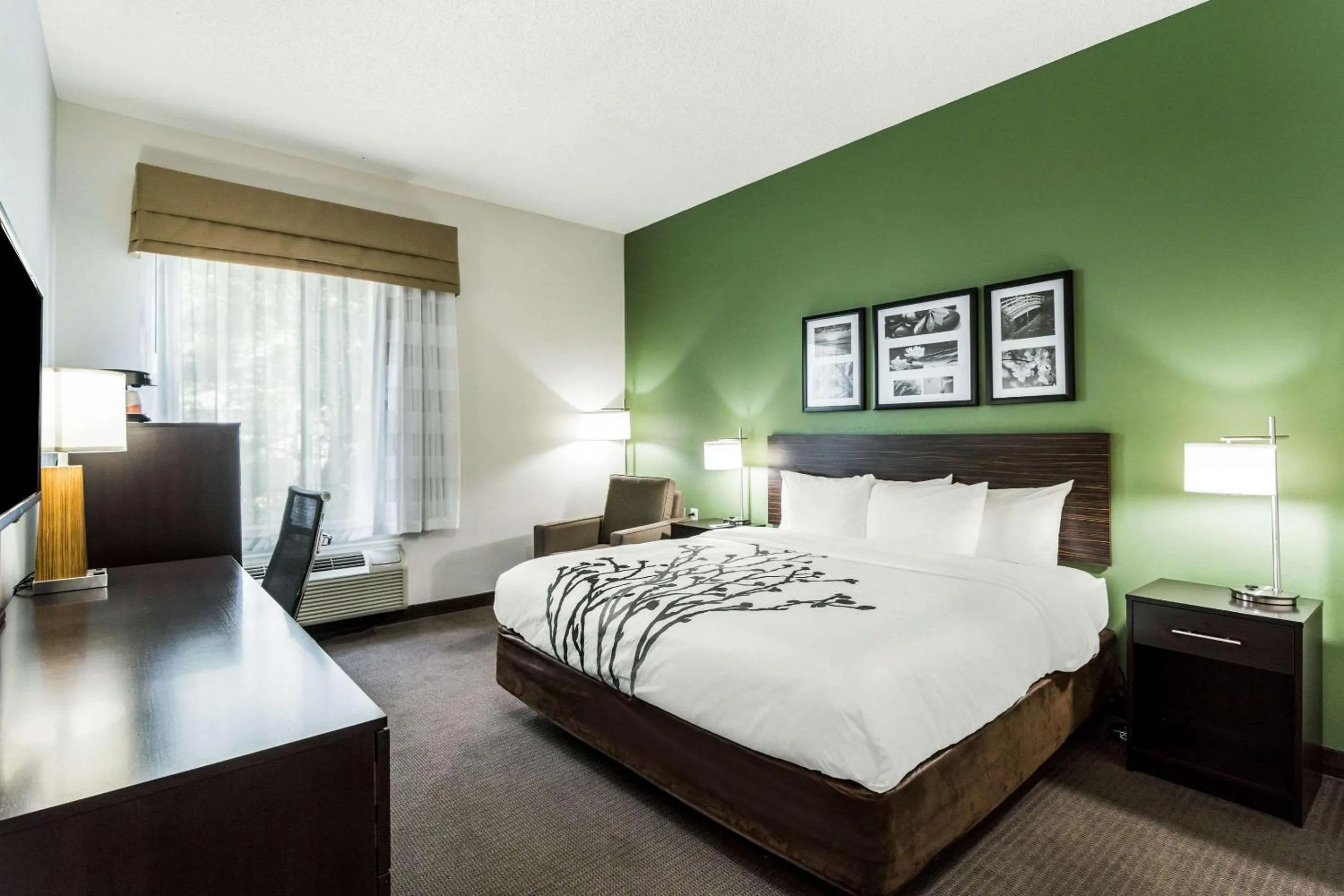 Photo of the whole room, Bed in Sleep Inn & Suites Smithfield near I-95