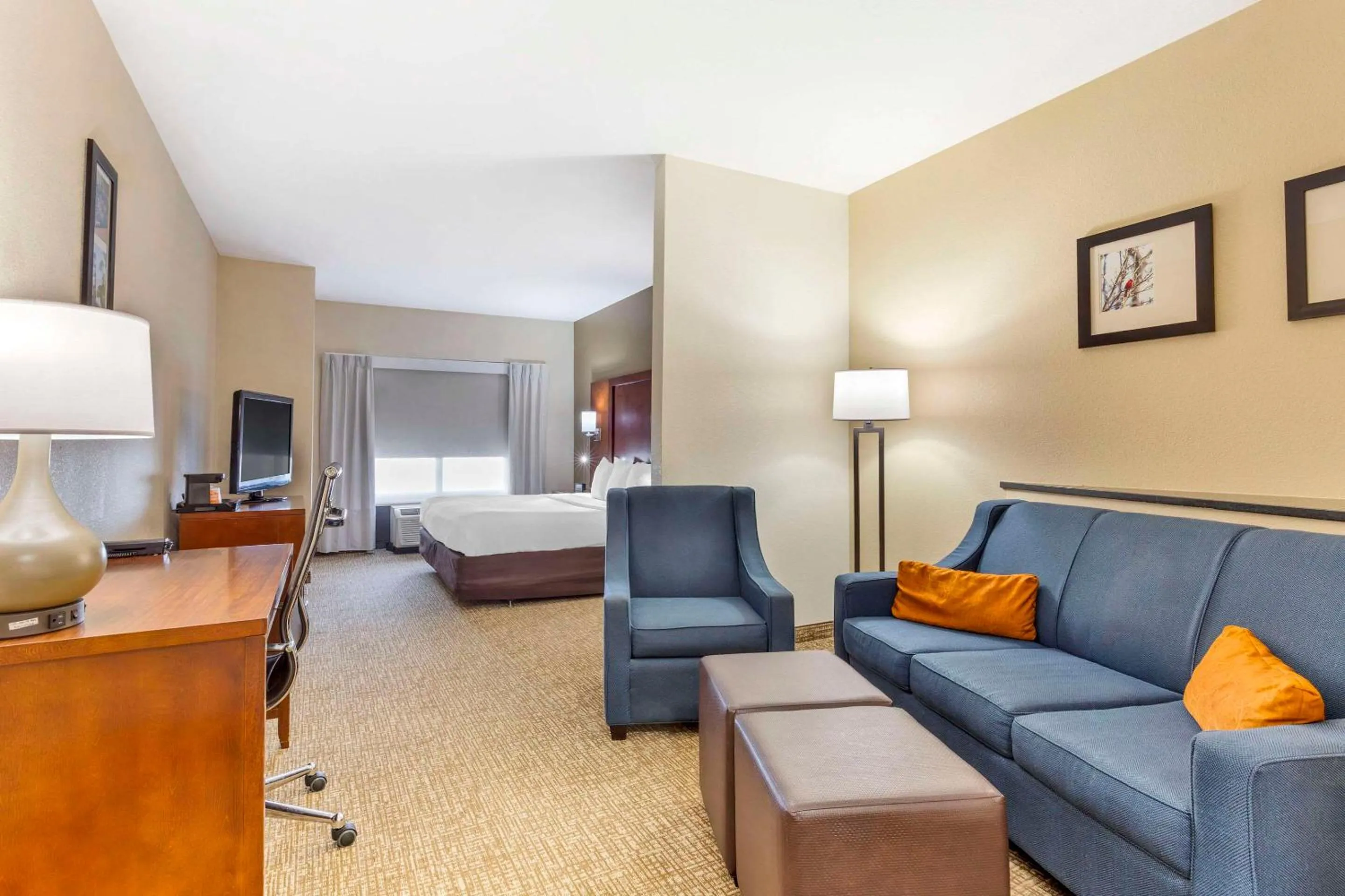 Bedroom in Comfort Suites Wilson - I - 95