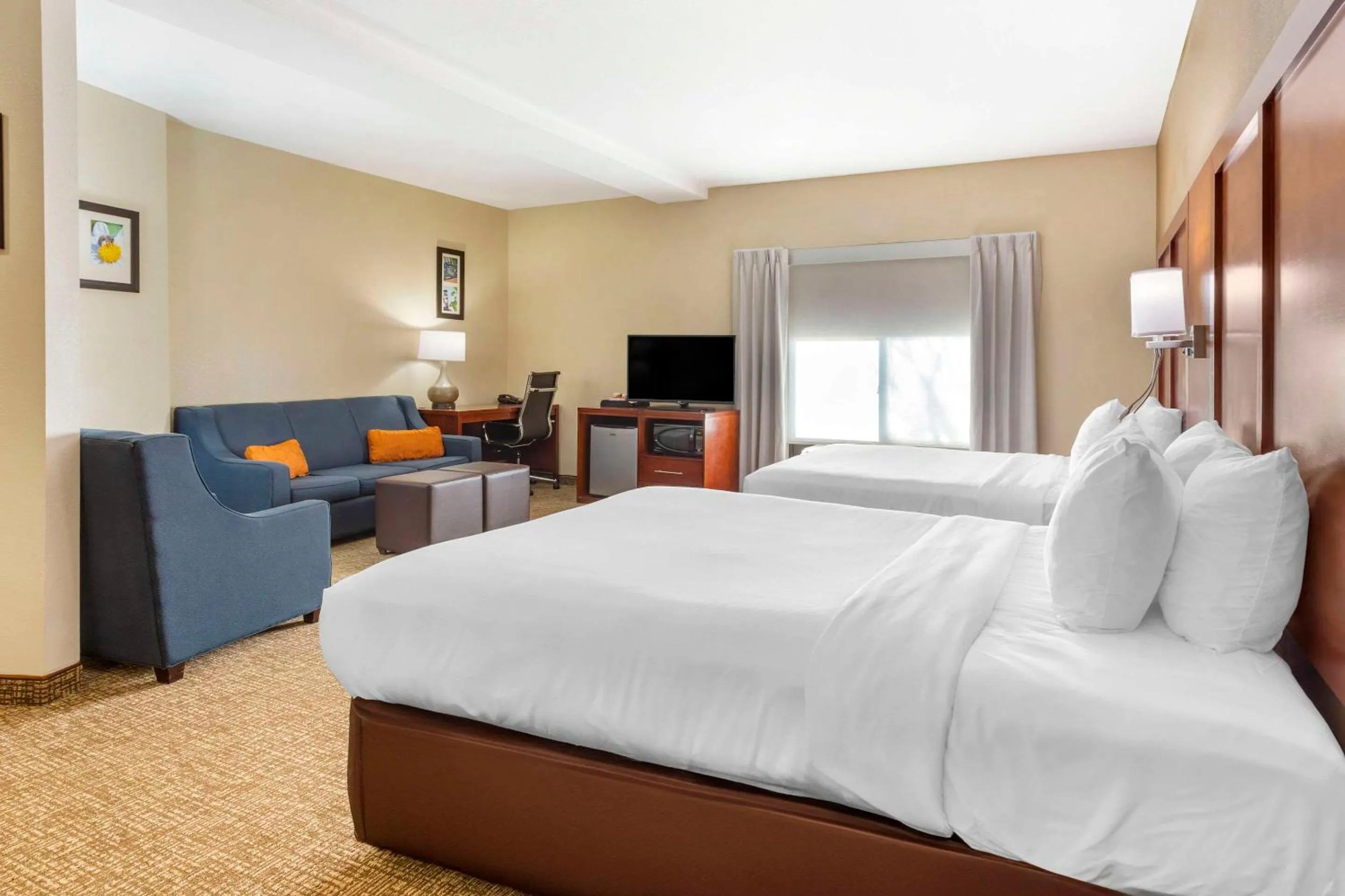 Bedroom, Bed in Comfort Suites Wilson - I - 95