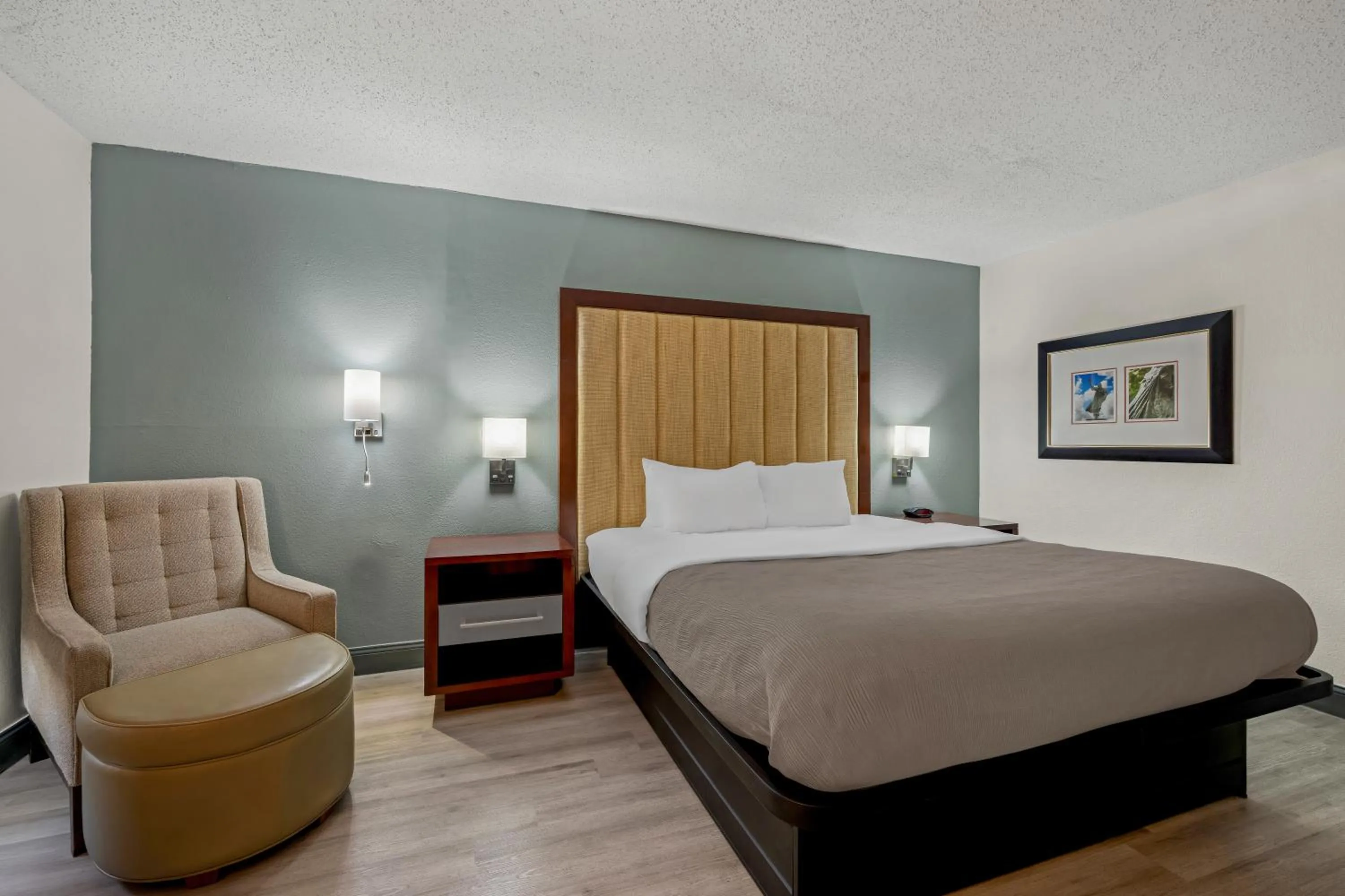 Bedroom, Bed in Quality Inn Rocky Mount - Golden East Area