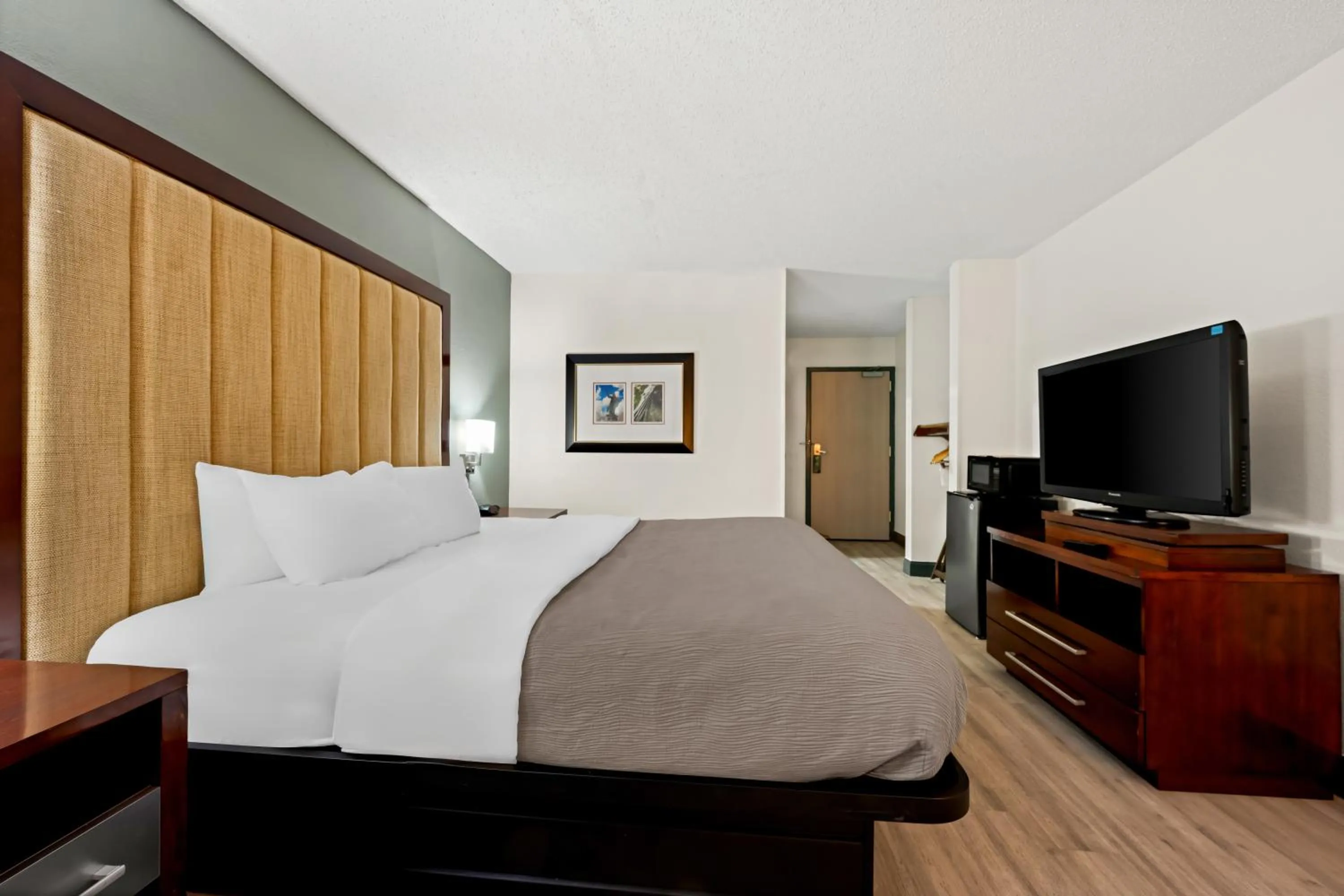 Bedroom, Bed in Quality Inn Rocky Mount - Golden East Area