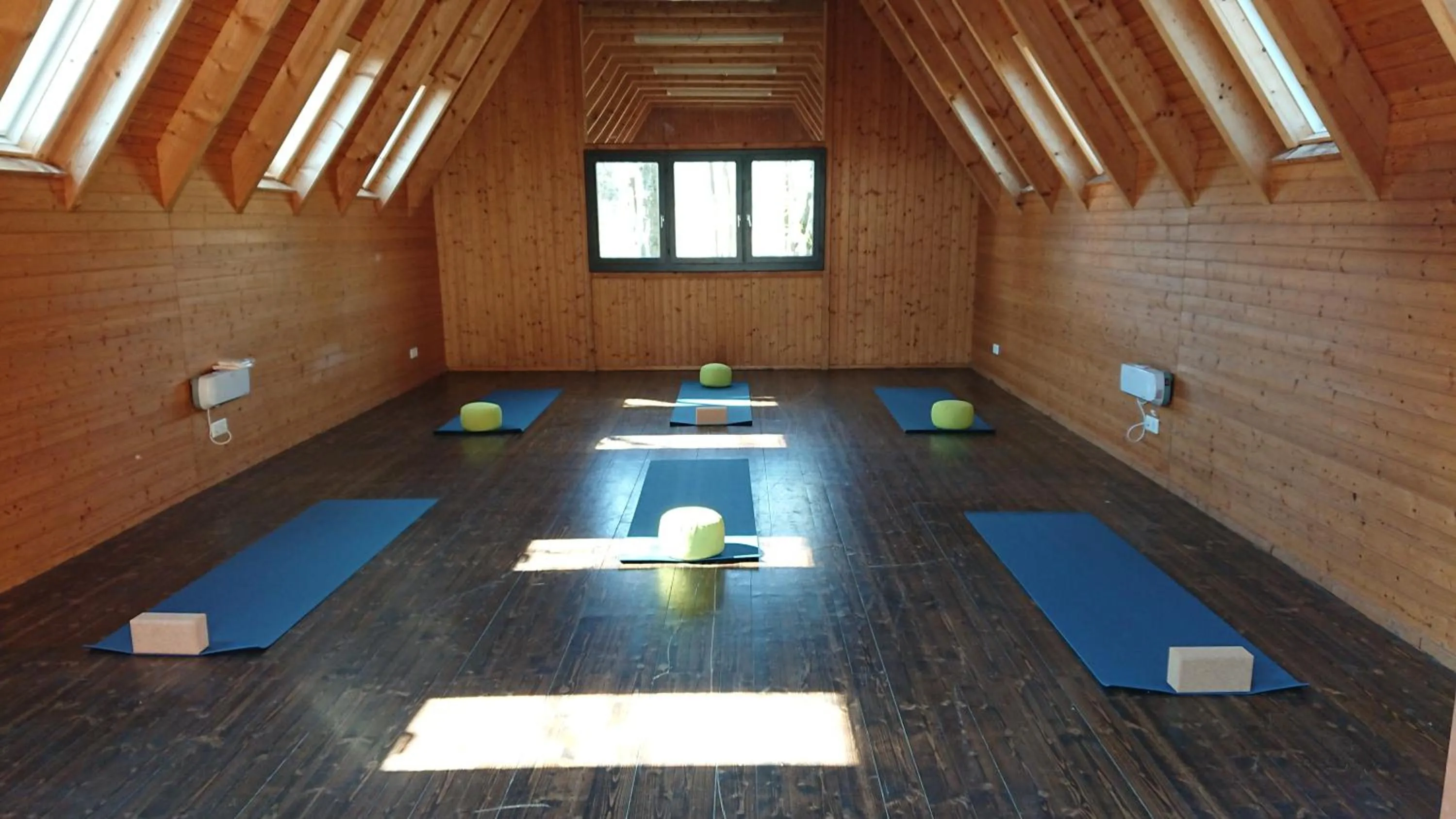 Activities in Habitat Esslingen