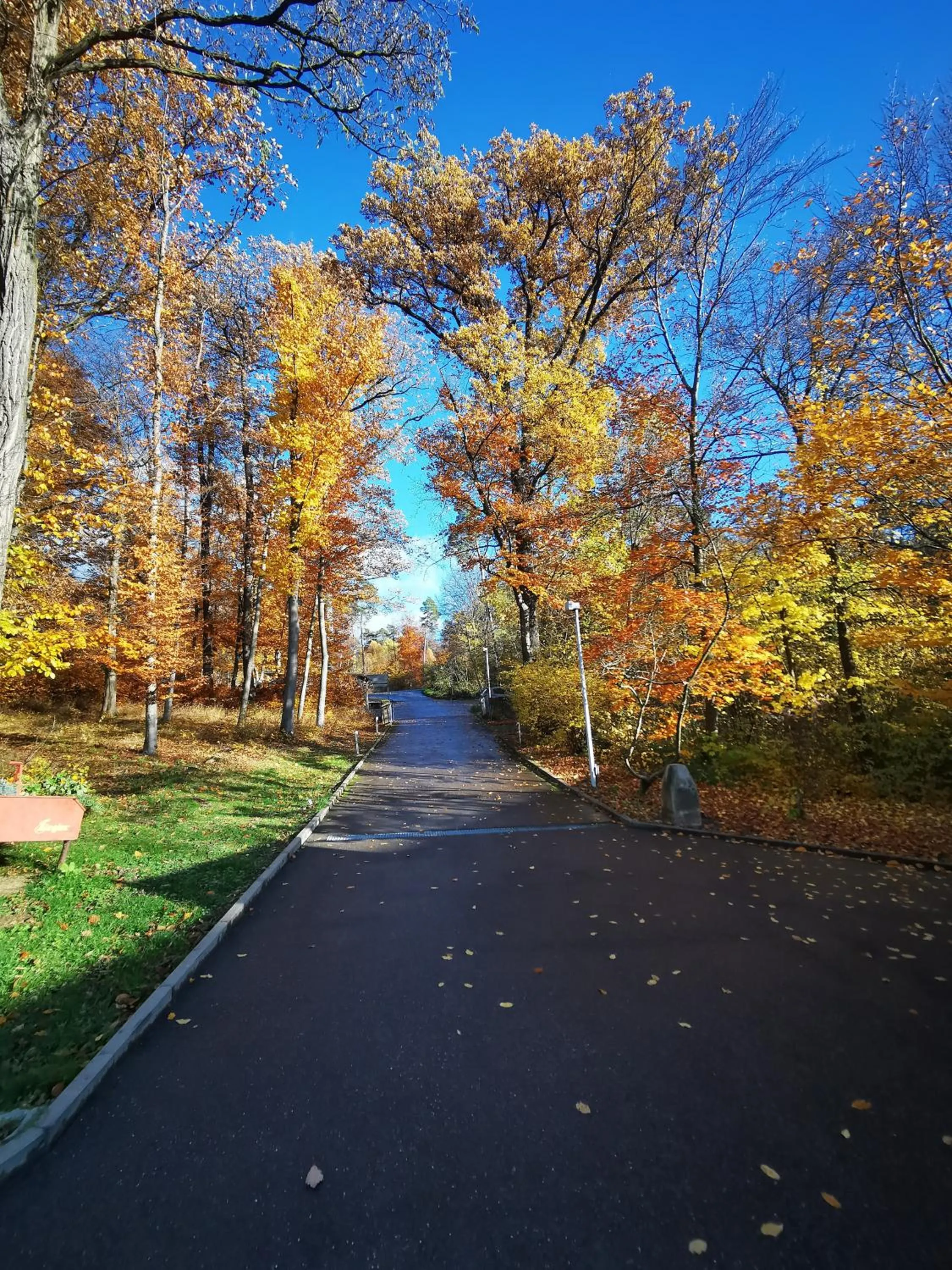 Patio in Habitat Esslingen
