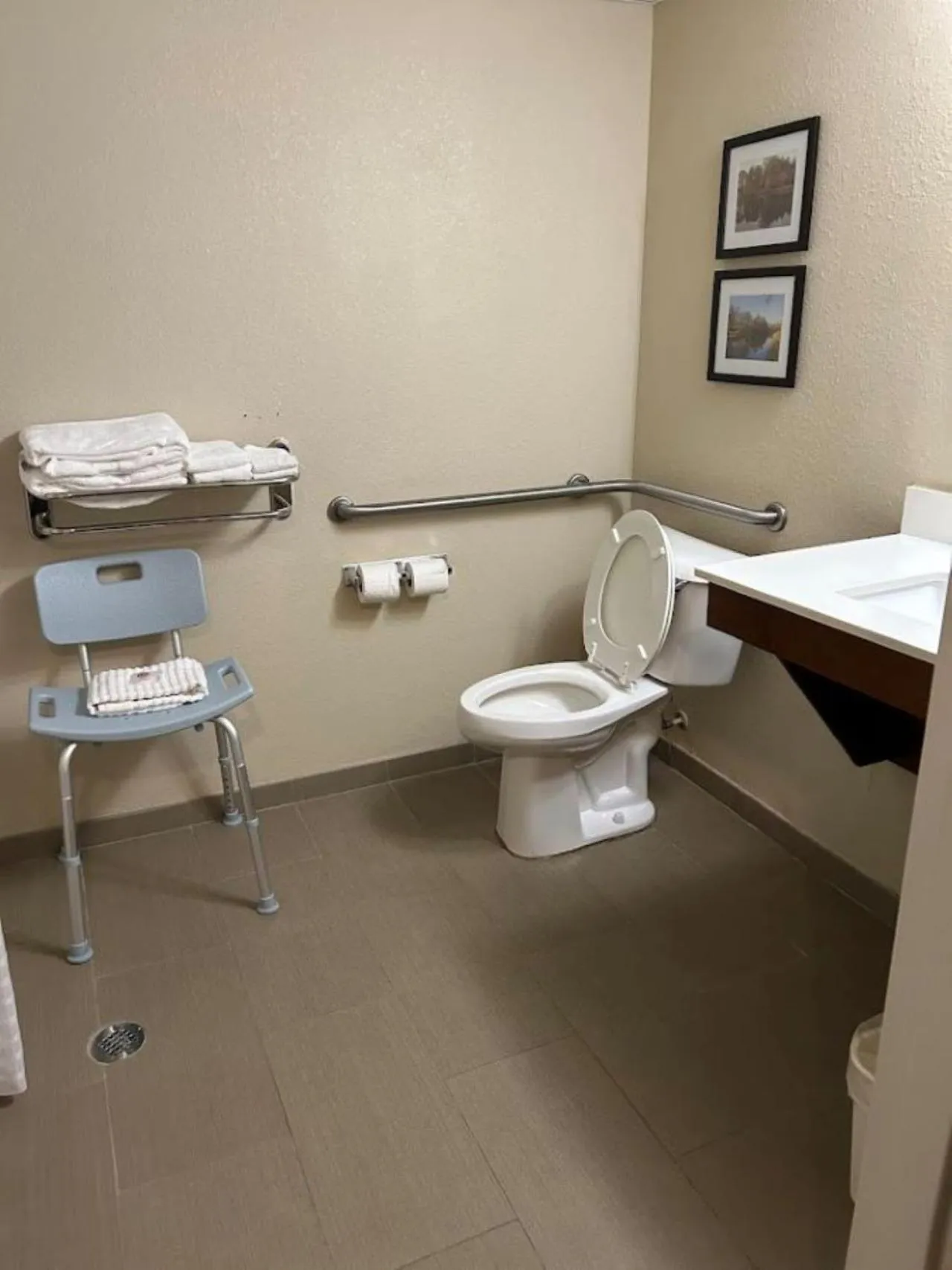 Toilet in Comfort Inn & Suites Oxford South