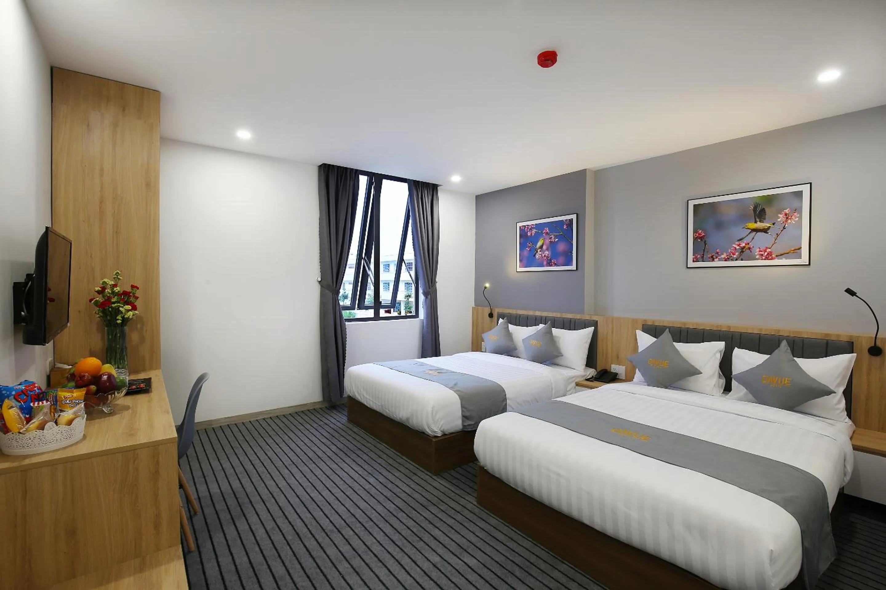 Photo of the whole room, Bed in Davue Hotel by THG