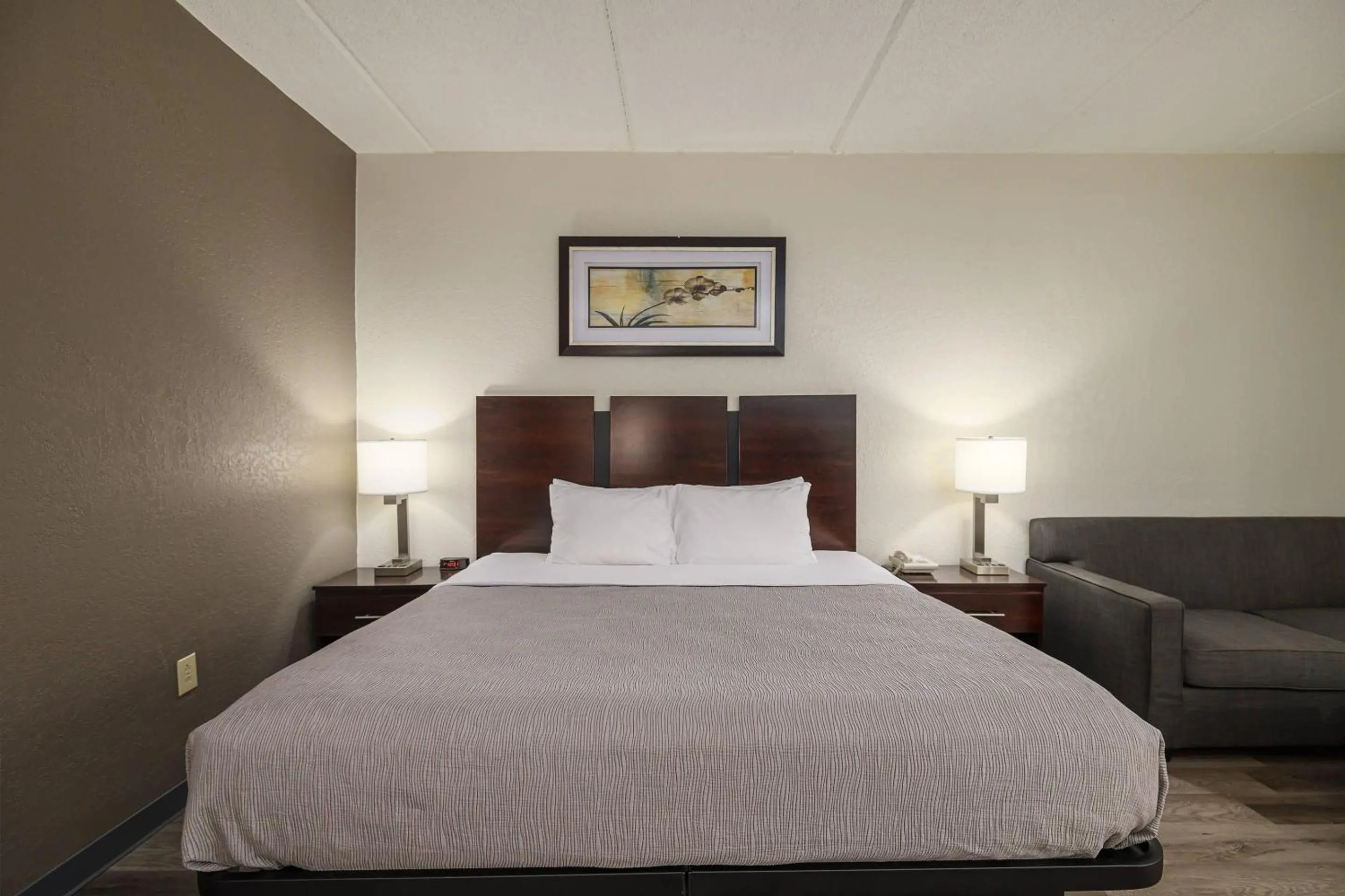Bedroom, Bed in Quality Inn & Suites Lexington South