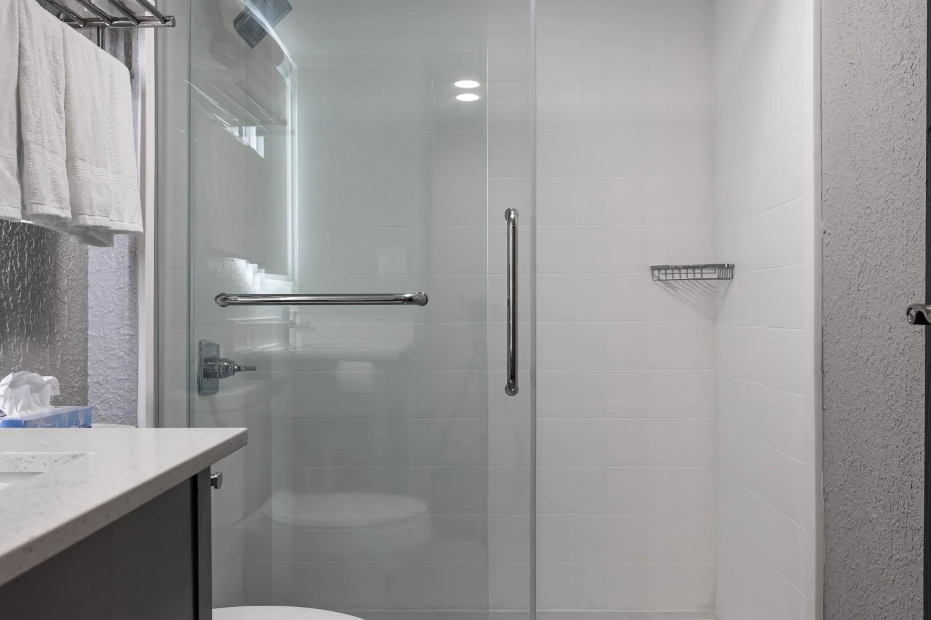 Bathroom in Rodeway Inn & Suites near Outlet Mall - Asheville