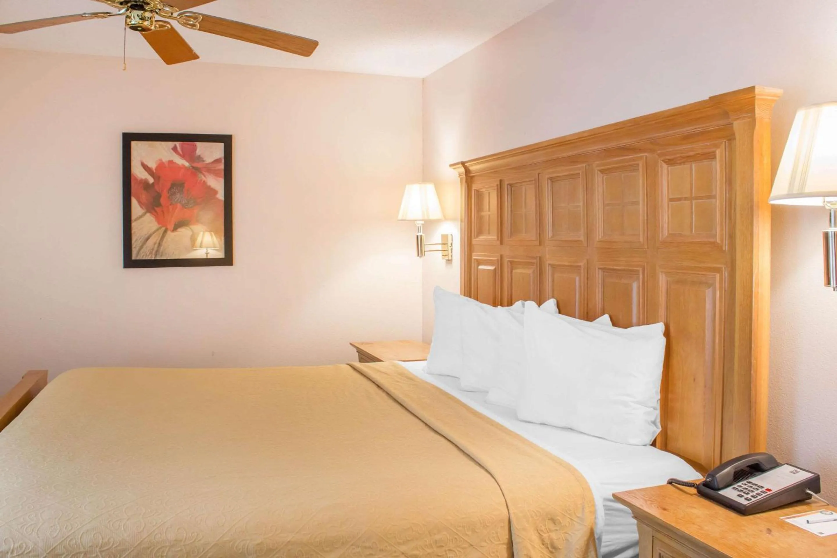 Bedroom, Bed in Econo Lodge Raleigh near Walnut Creek Amphitheatre