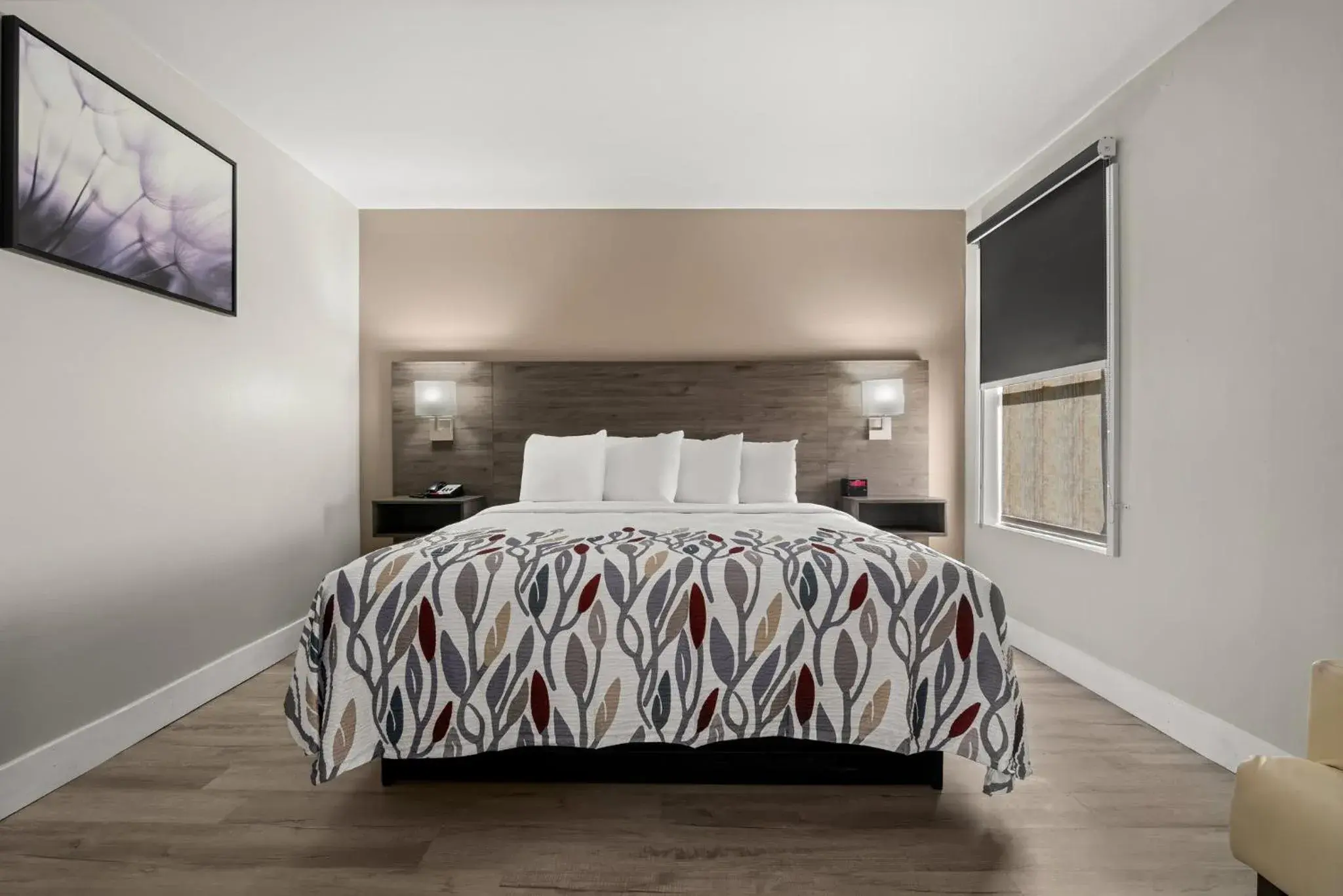 Deluxe King Room Disability Access Non-Smoking in Red Roof Inn Washington, NC Deluxe King Room Disability Access Non-Smoking in Red Roof Inn Washington, NC