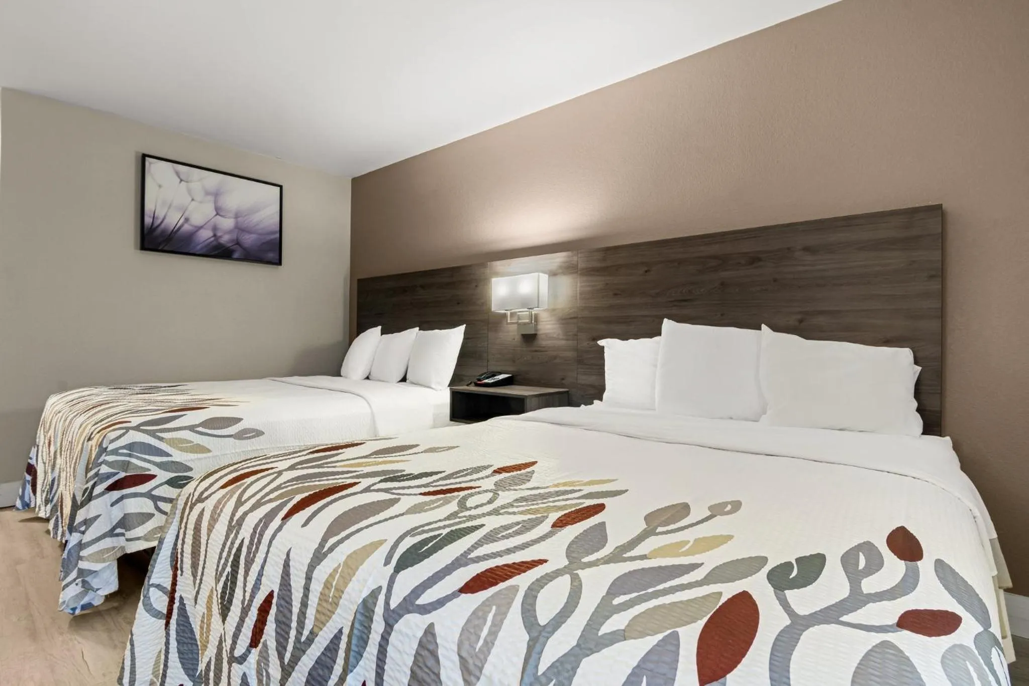 Photo of the whole room, Bed in Red Roof Inn Washington, NC