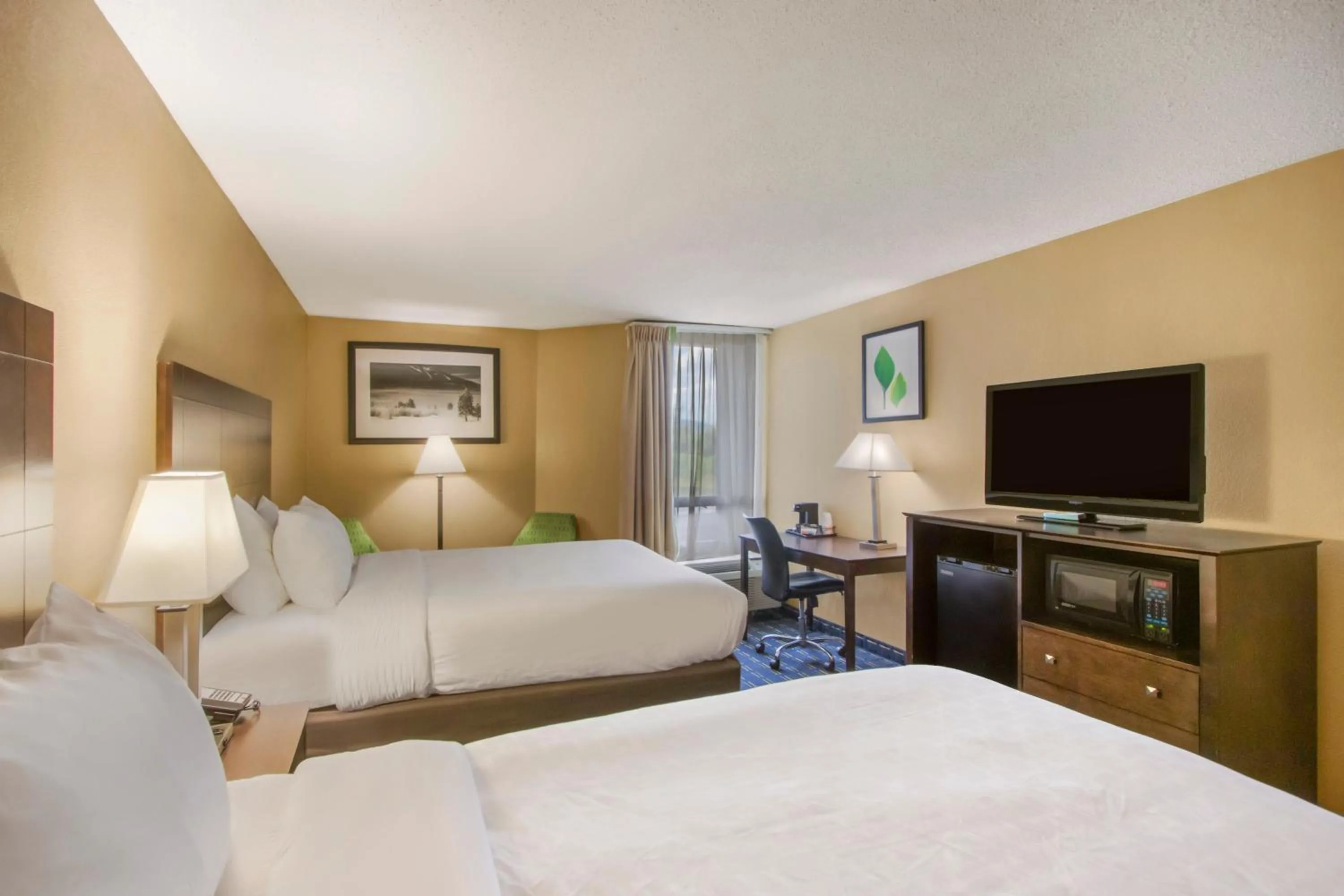 Photo of the whole room, Bed in Clarion Inn Asheville Airport