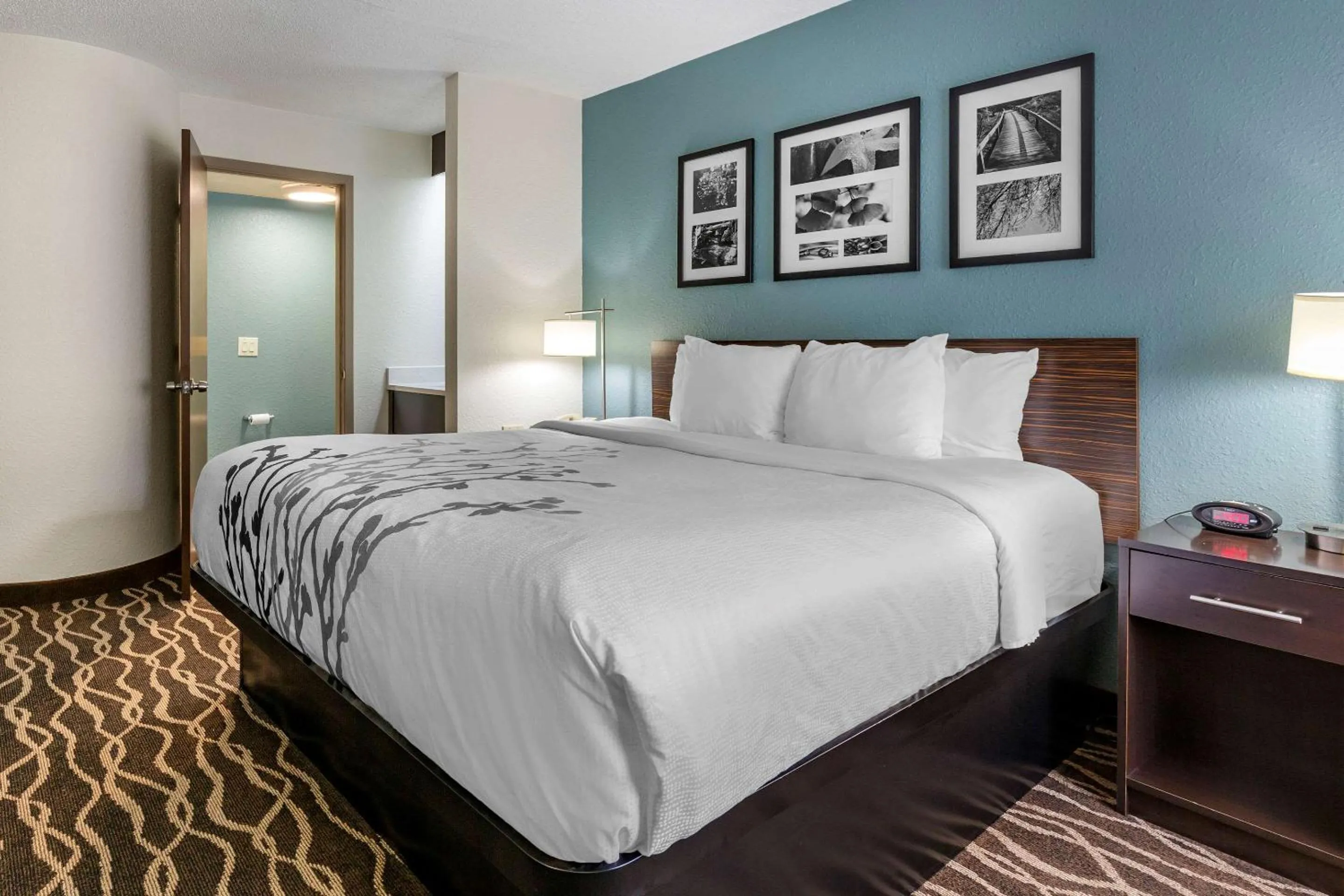 Bedroom, Bed in Sleep Inn Fayetteville I-95