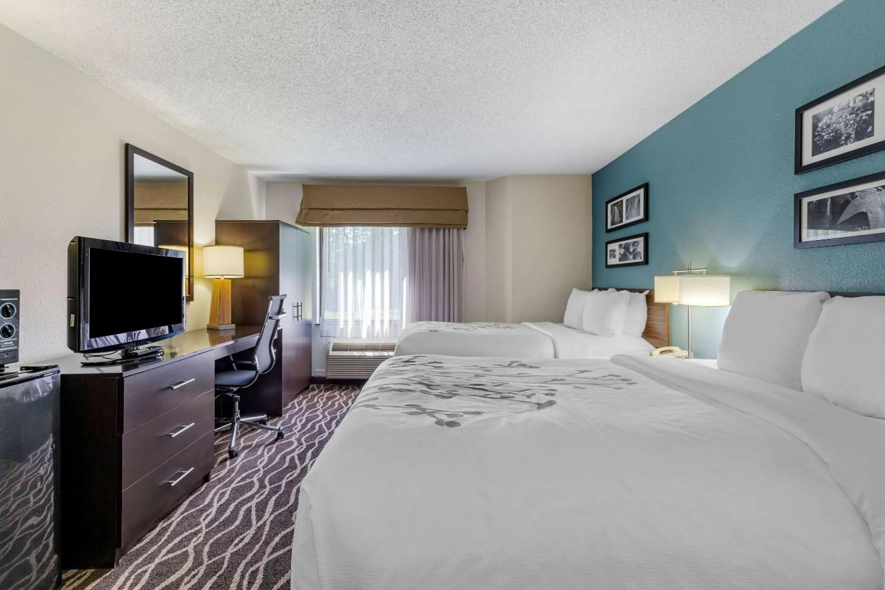 Bedroom, Bed in Sleep Inn Fayetteville I-95