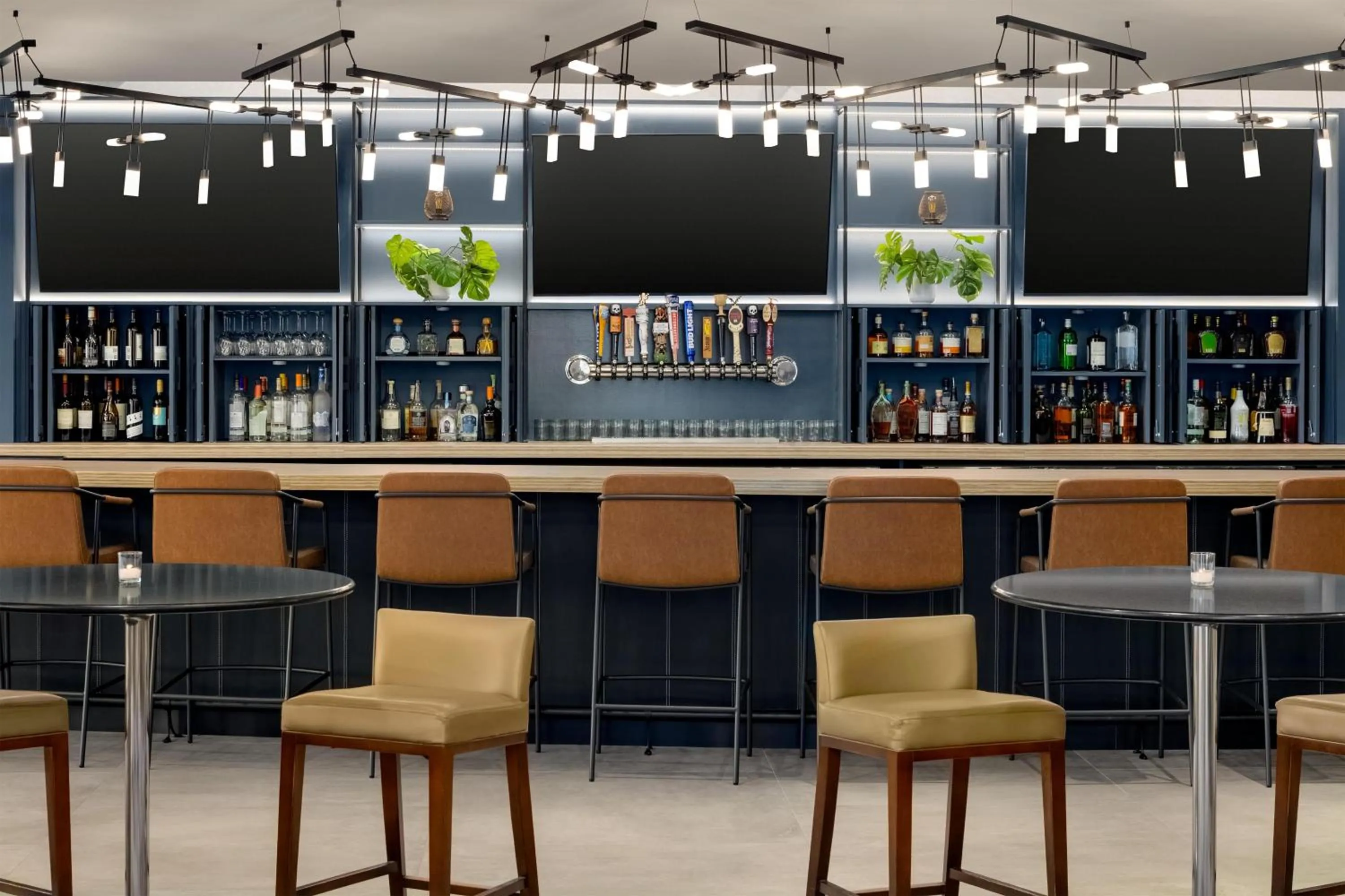 Lounge or bar in Hilton Baltimore BWI Airport