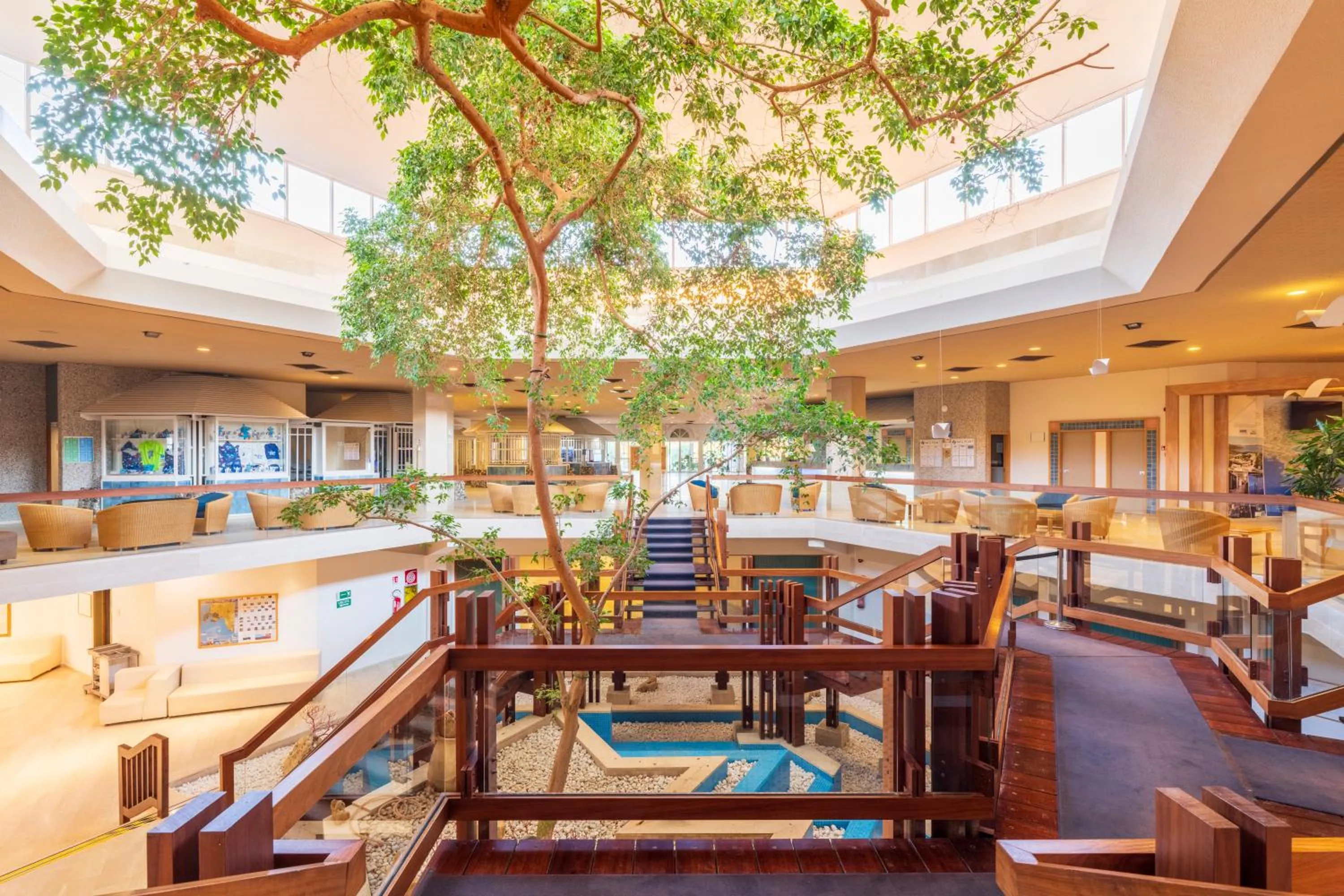 Restaurant/places to eat in Hotel Baia di Conte Club & Resort