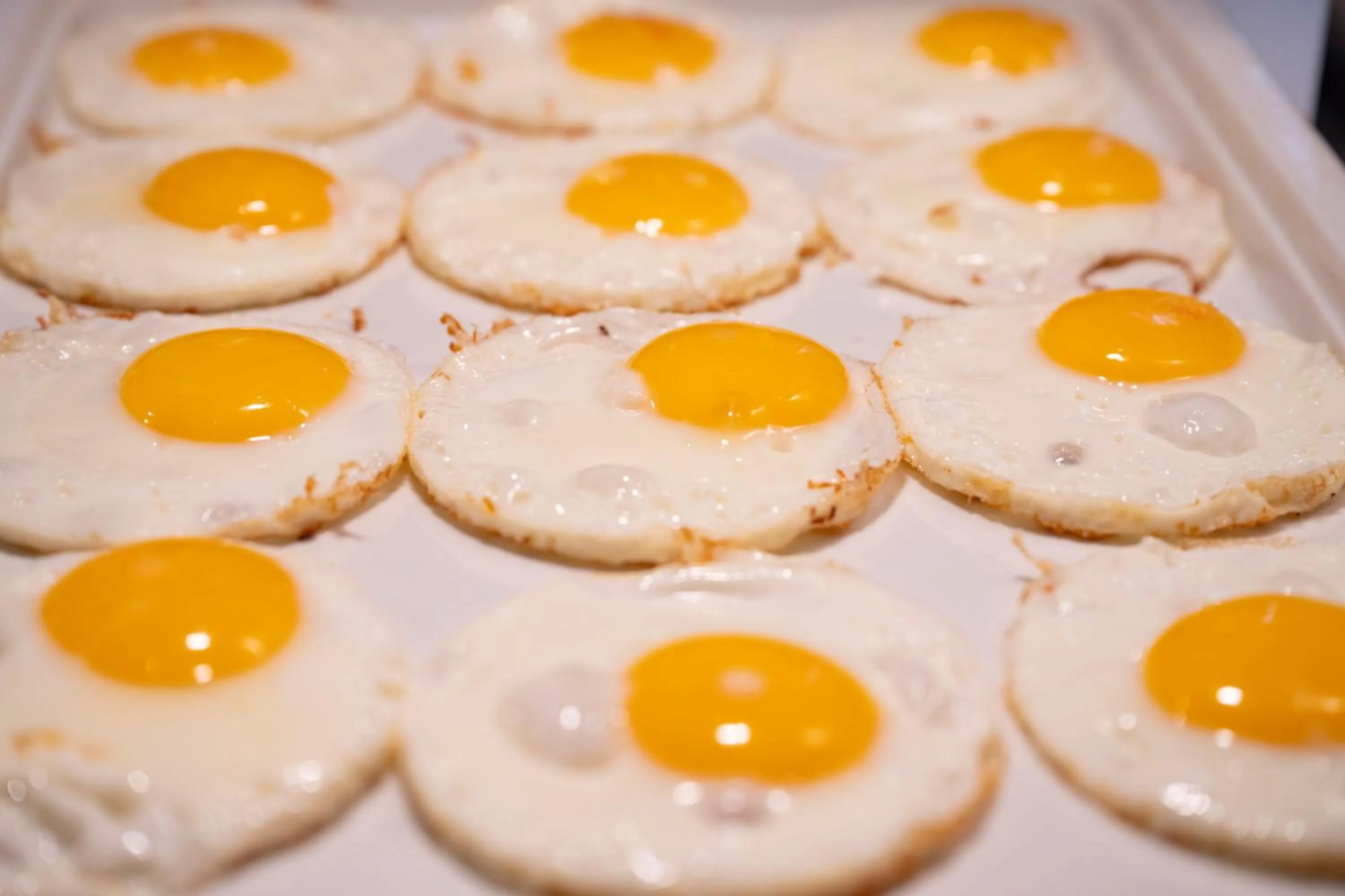 Food and drinks in Hotel Baia di Conte Club & Resort