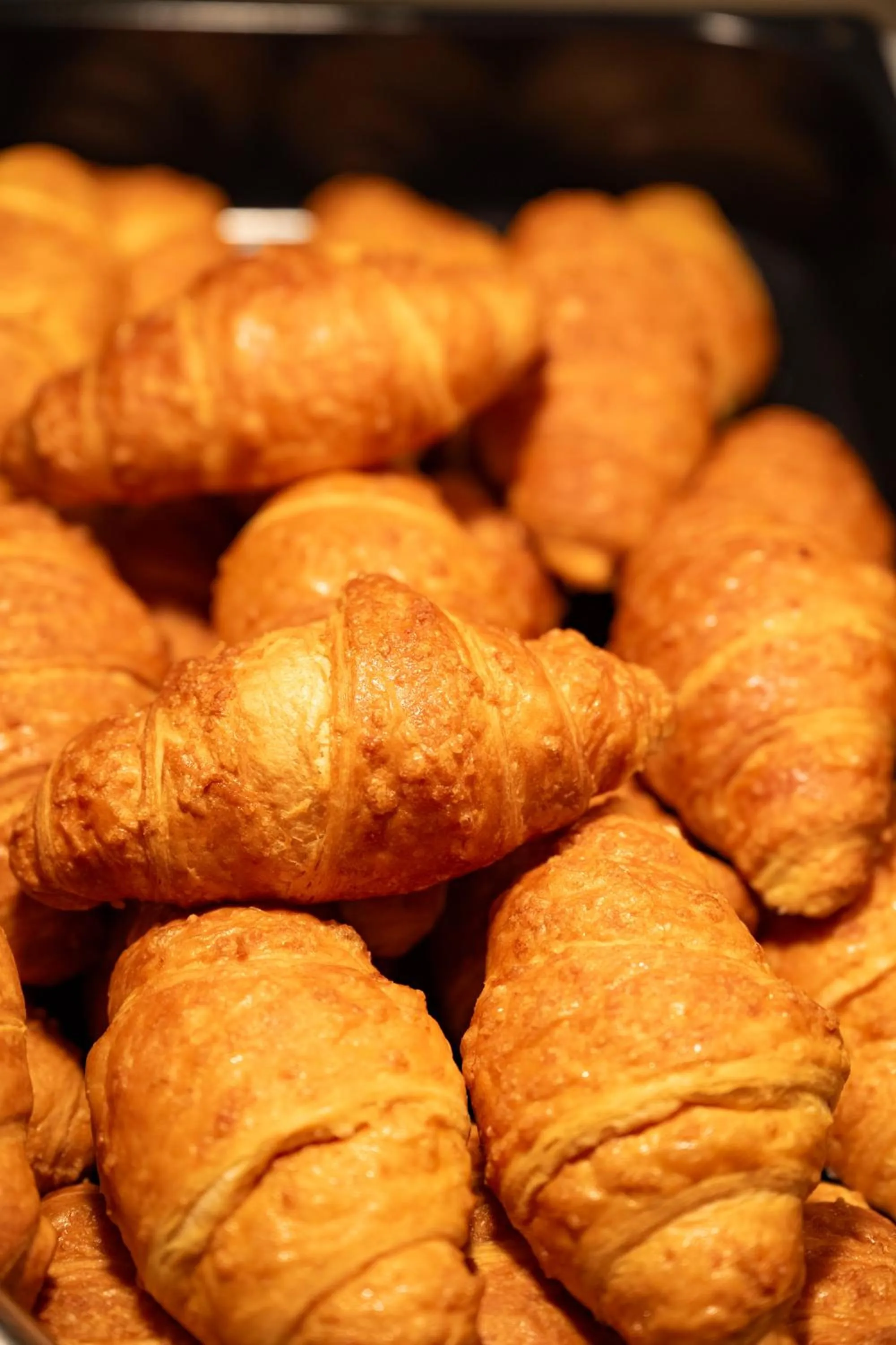 Food and drinks in Hotel Baia di Conte Club & Resort