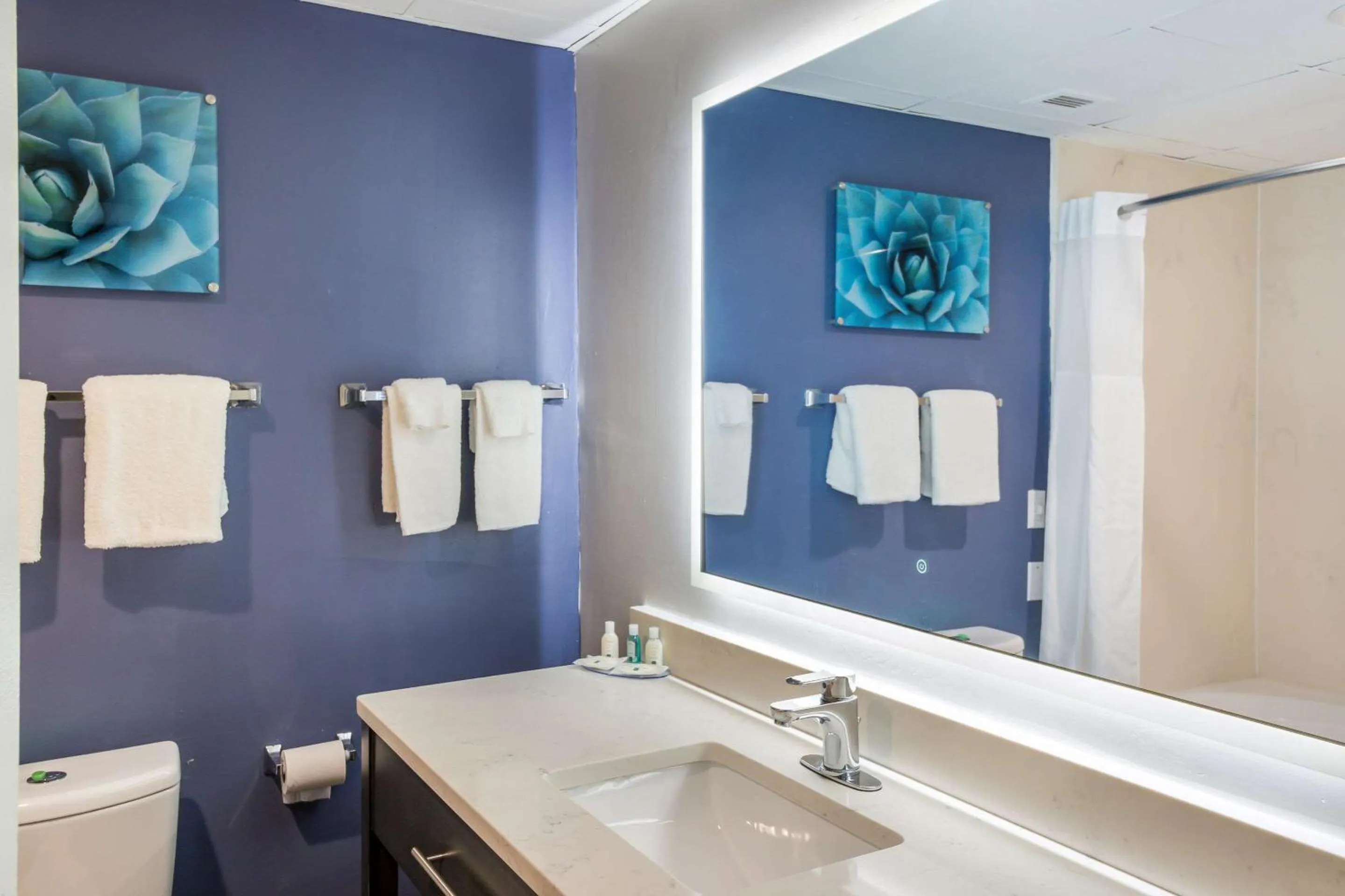 Toilet in Quality Inn near MCAS Cherry Point