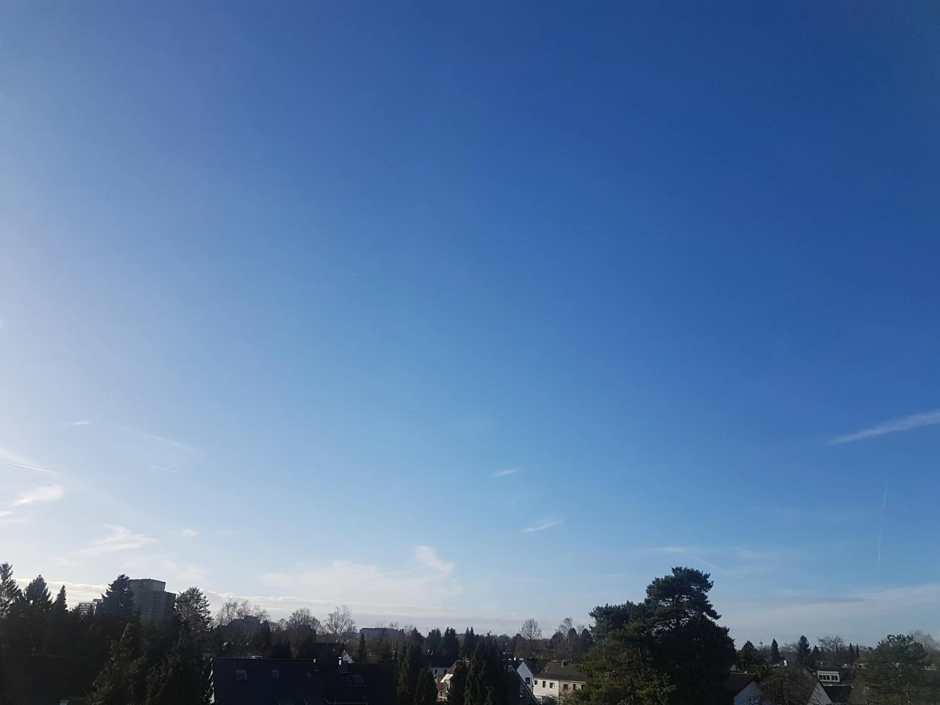 Garden view in StayInCologne