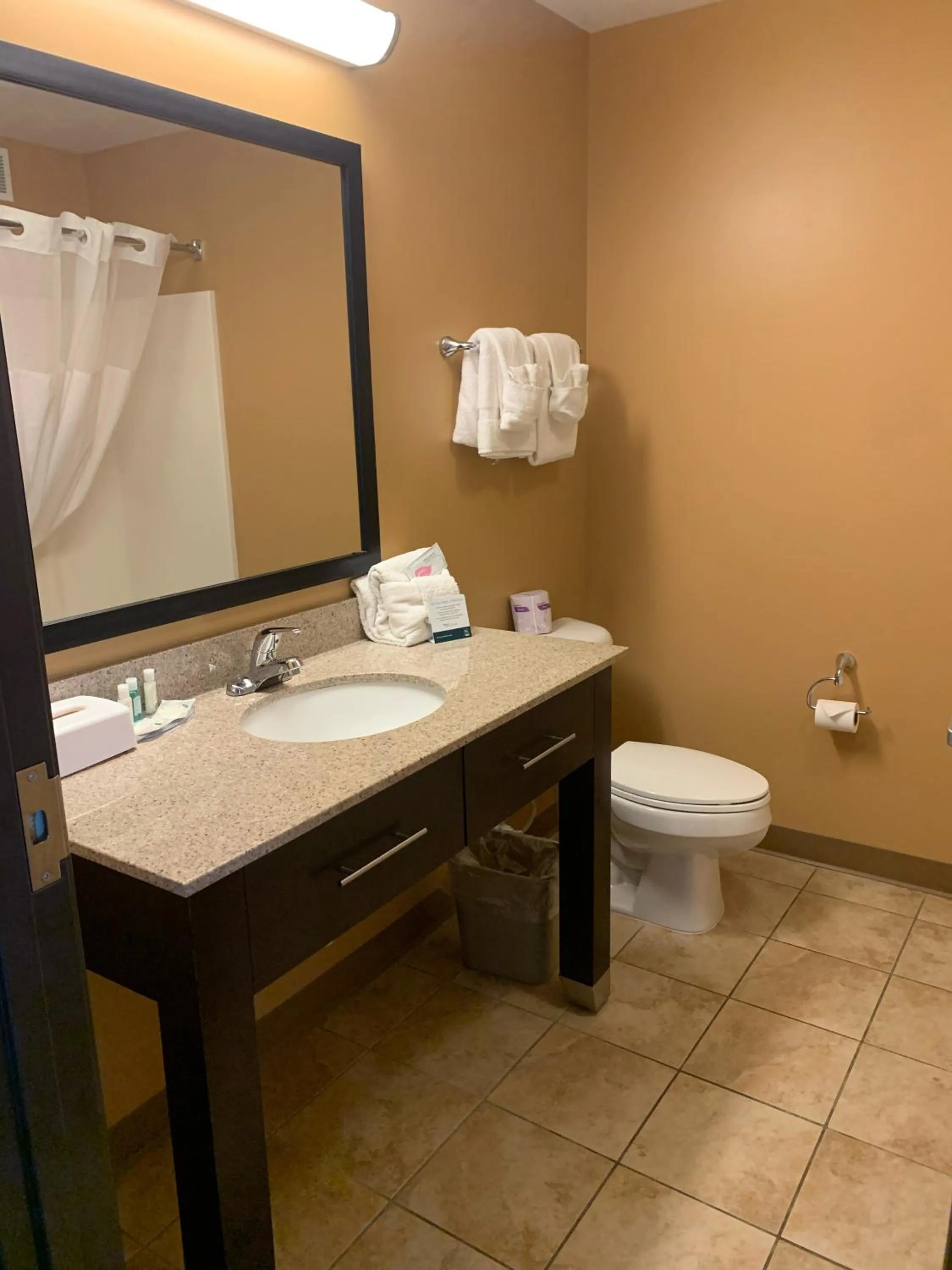 Bathroom in Quality Inn & Suites Minot North