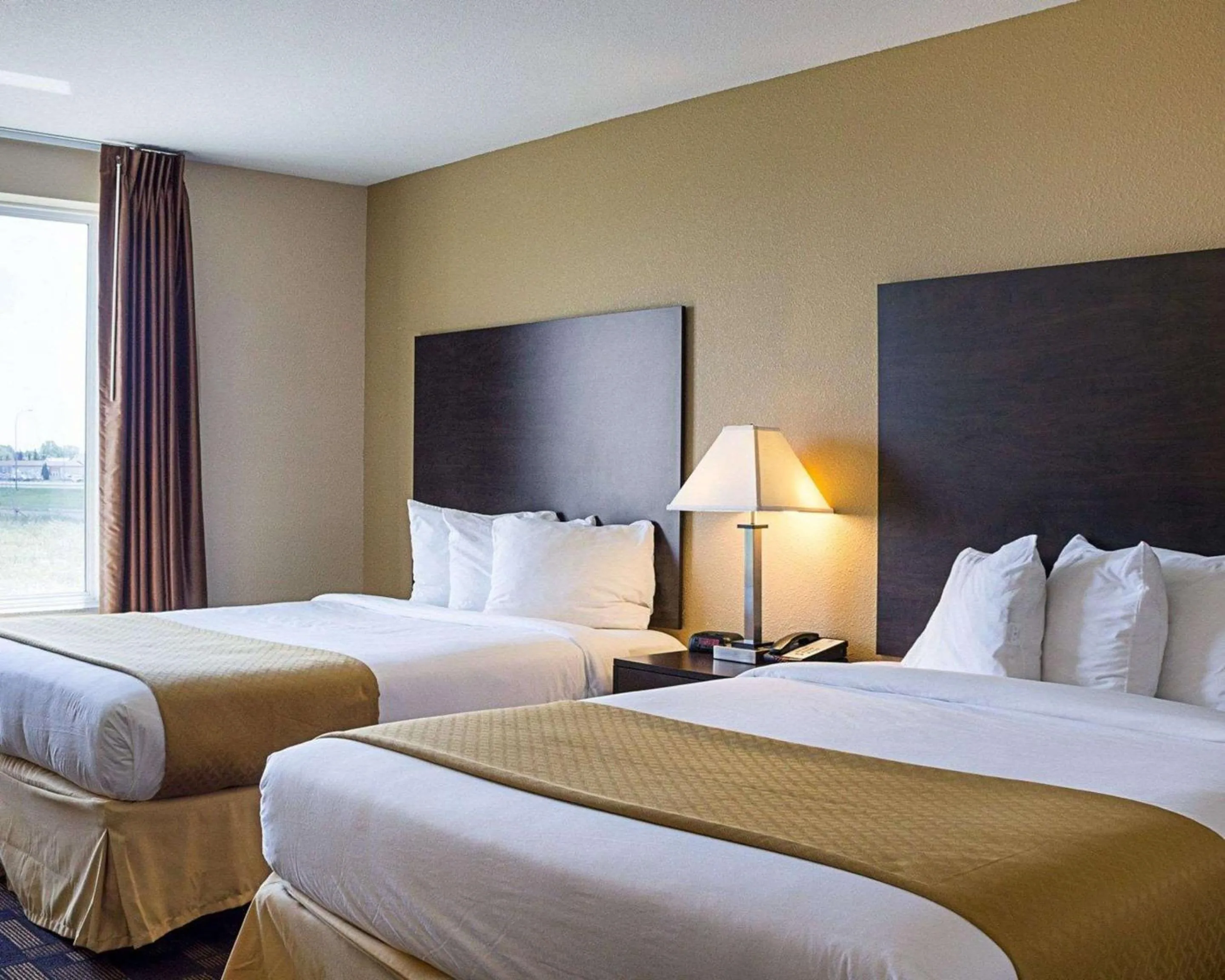 Photo of the whole room, Bed in Quality Inn & Suites Minot North