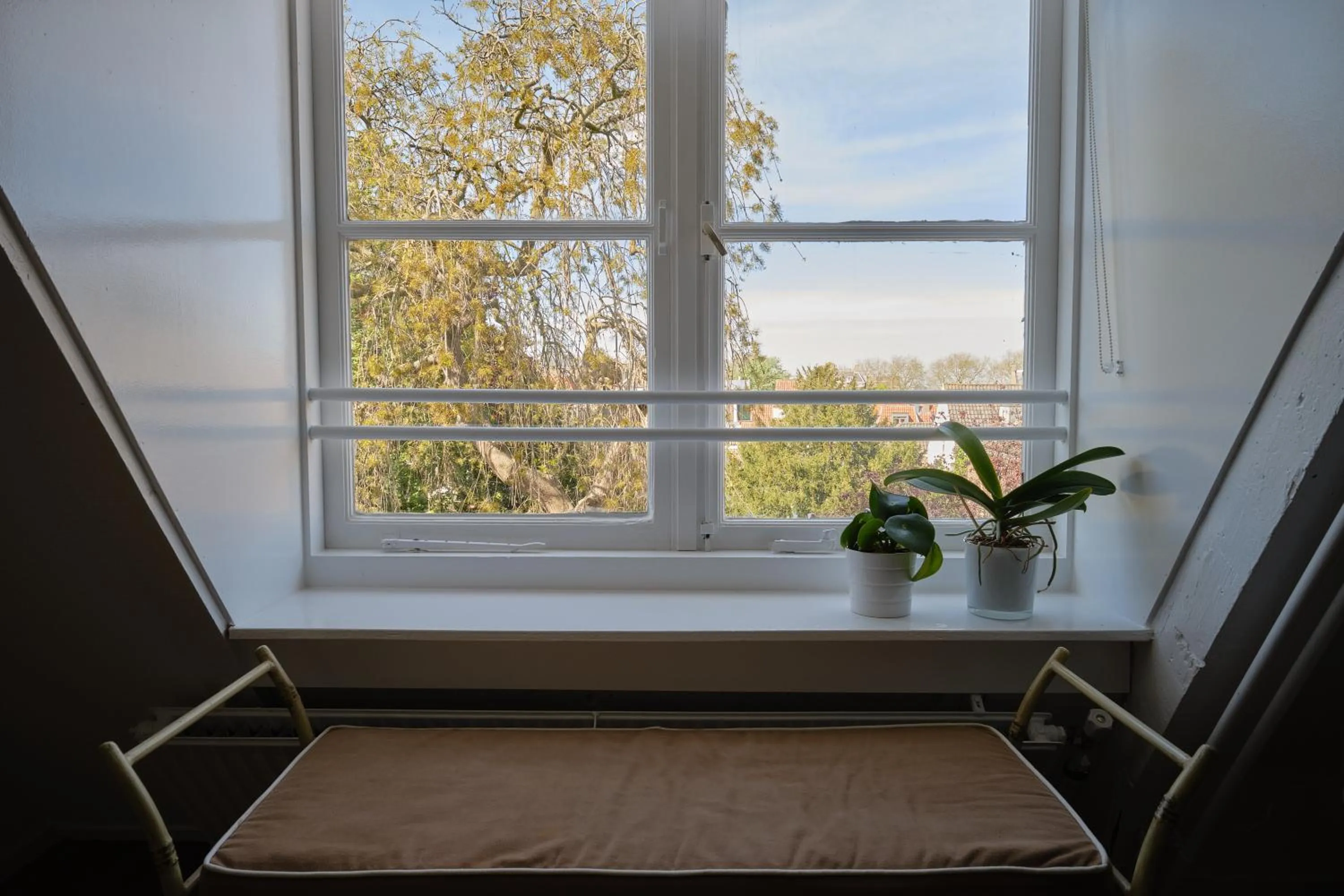 Garden view in Het Gecroonde Swaert B&B