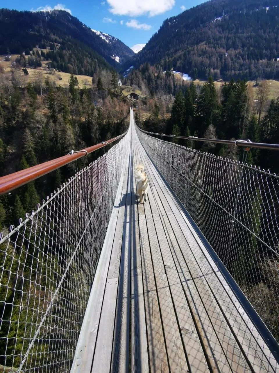 Activities in Hotel Derby