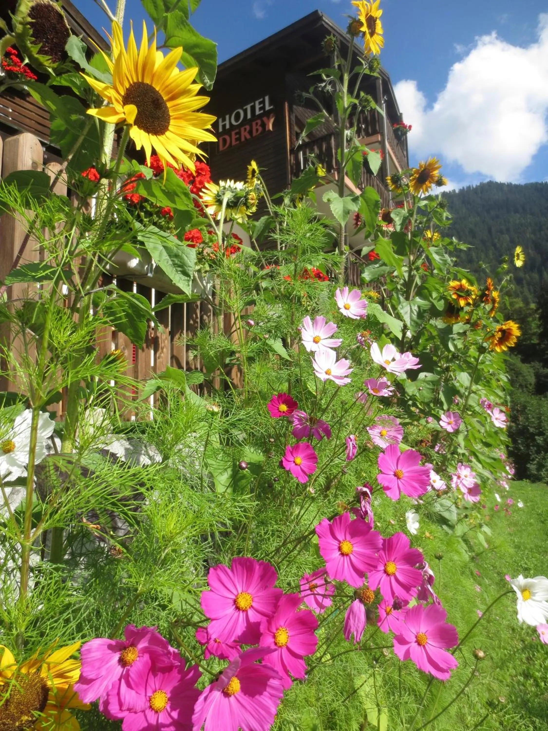 Facade/entrance in Hotel Derby