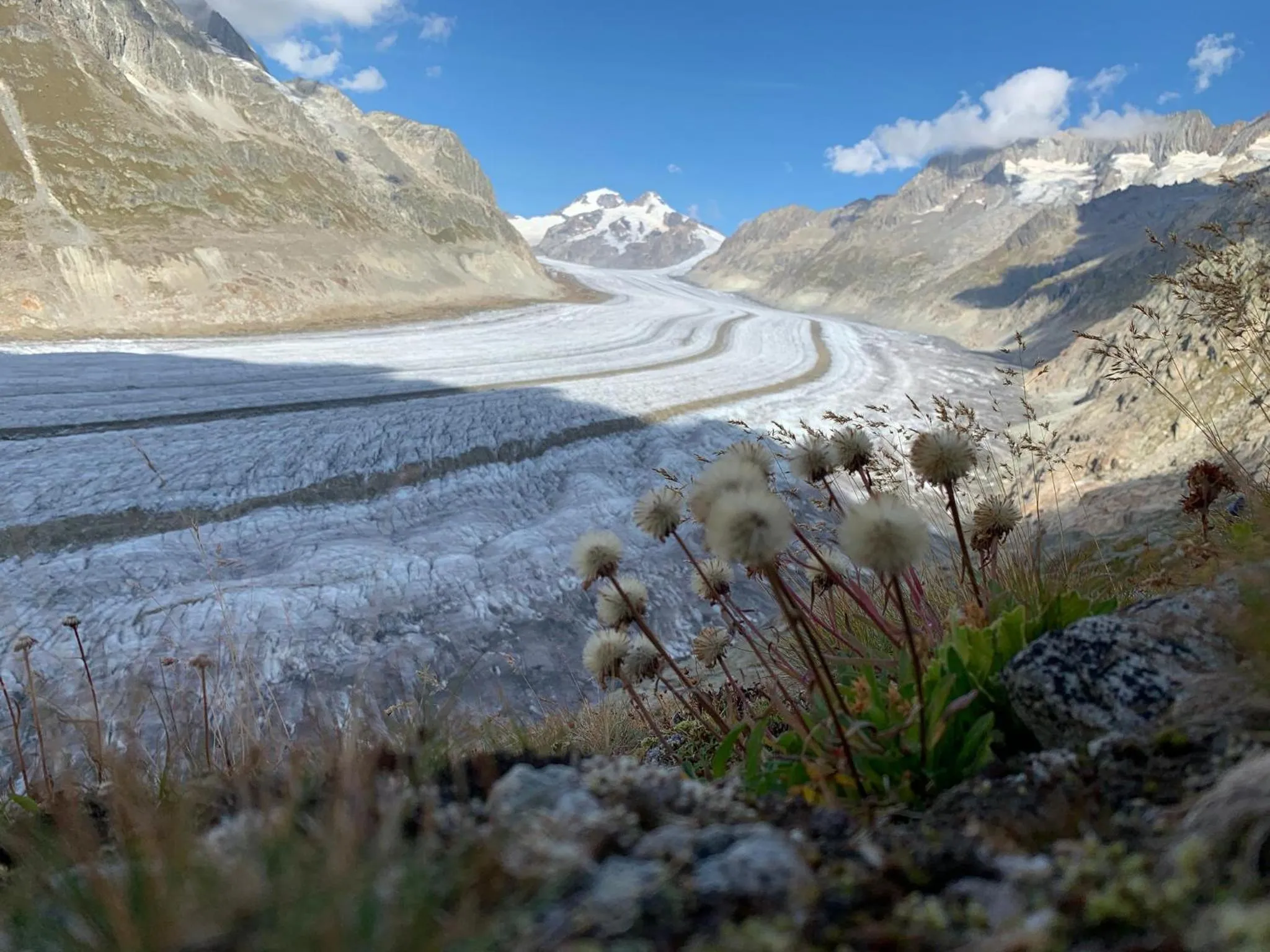 Natural landscape in Hotel Derby