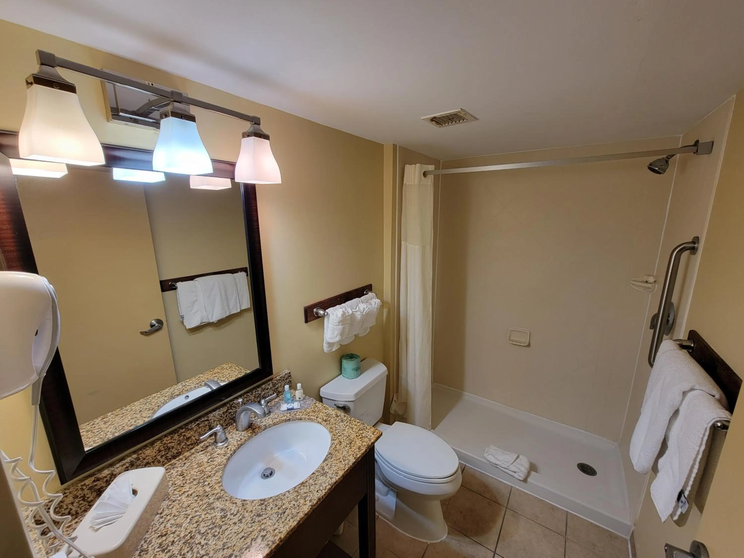 Bathroom in Quality Inn Flamingo