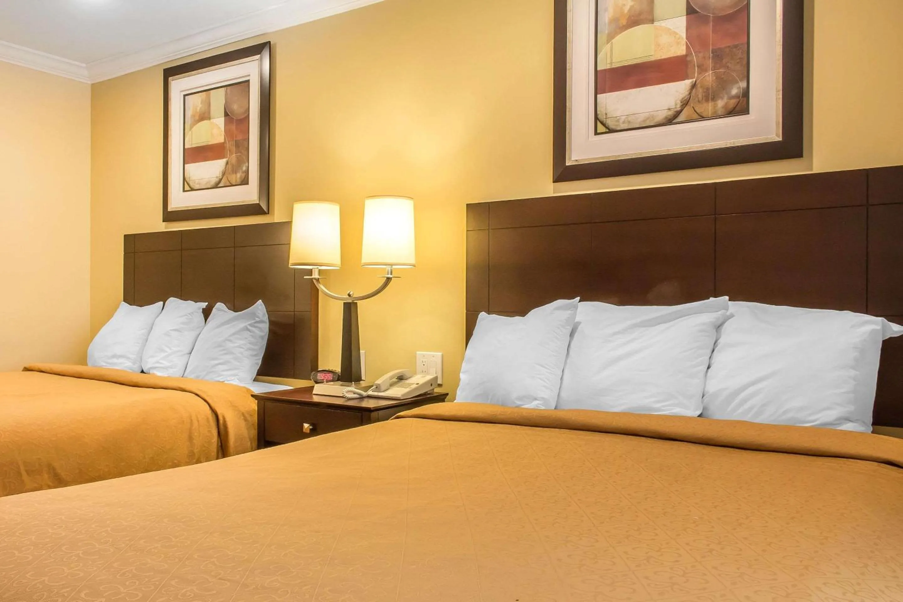 Photo of the whole room, Bed in Quality Inn near Mountain Creek