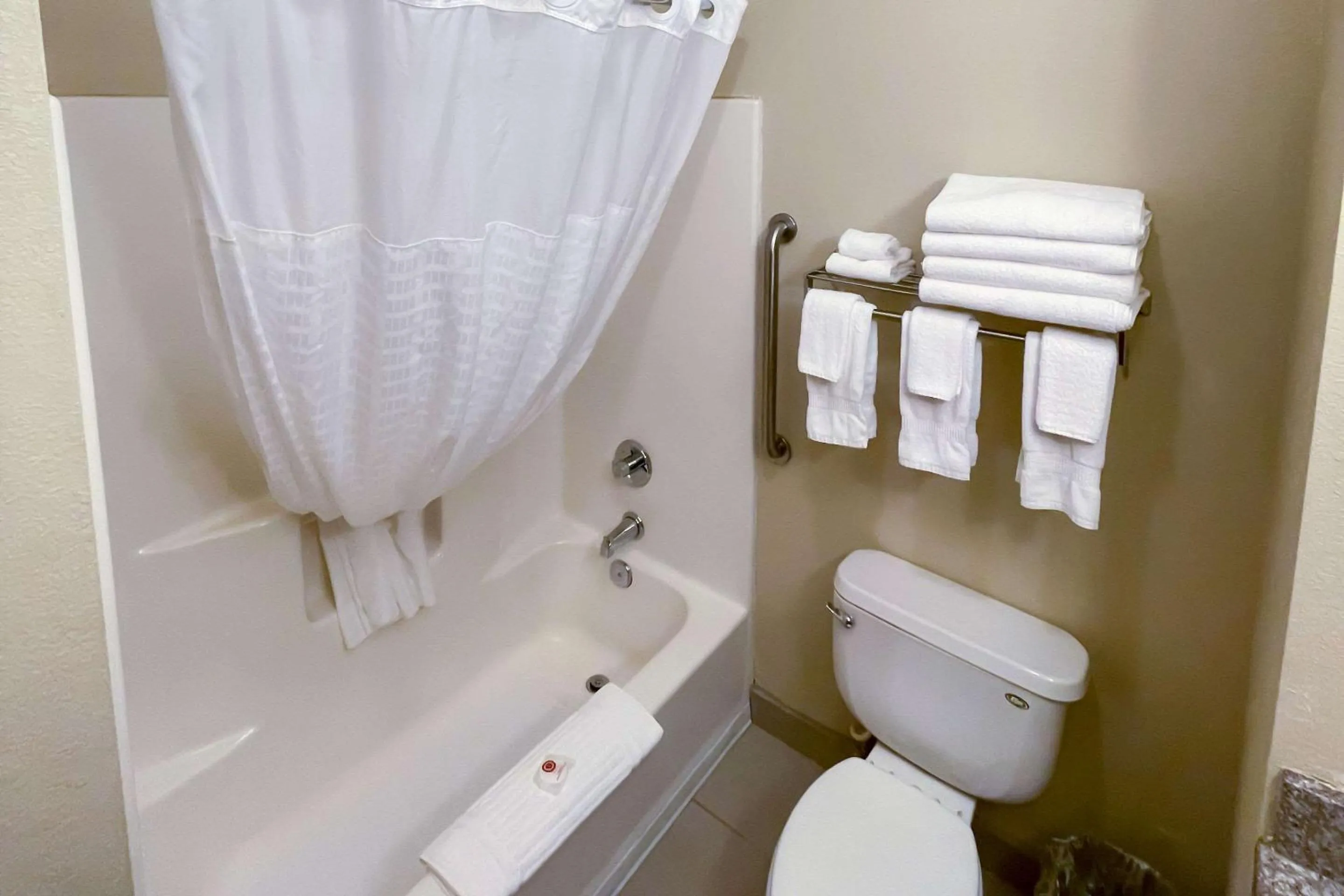 Bedroom in Comfort Inn & Suites Midtown