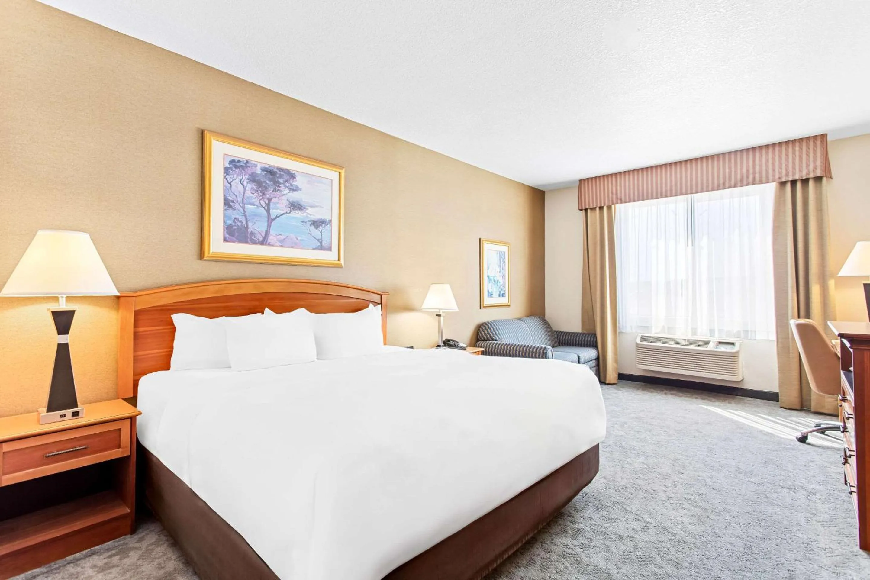 Bedroom, Bed in Comfort Inn & Suites I-25 near Spaceport America