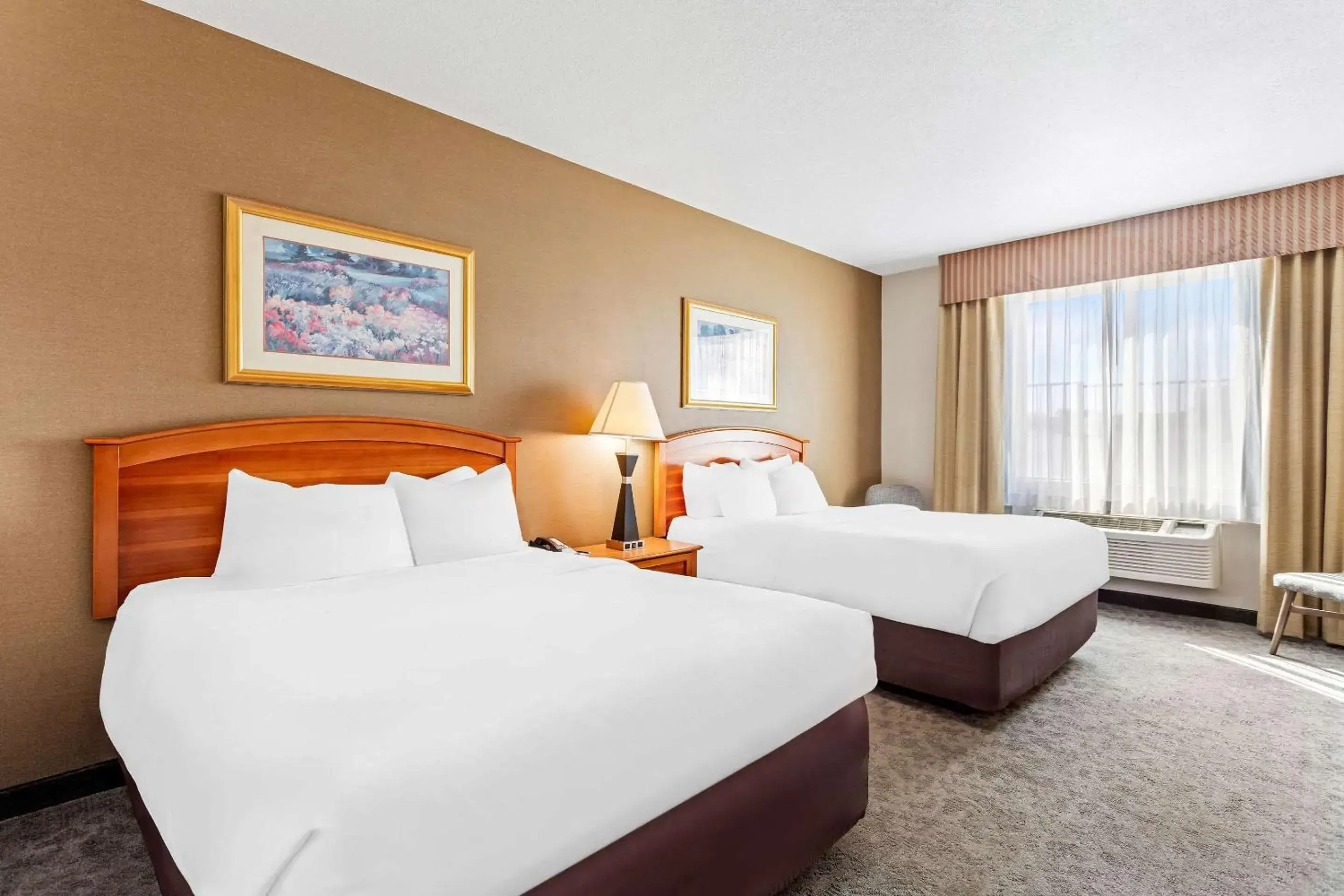 Standard Queen Room with Two Queen Beds - Non-Smoking in Comfort Inn & Suites I-25 near Spaceport America Standard Queen Room with Two Queen Beds - Non-Smoking in Comfort Inn & Suites I-25 near Spaceport America