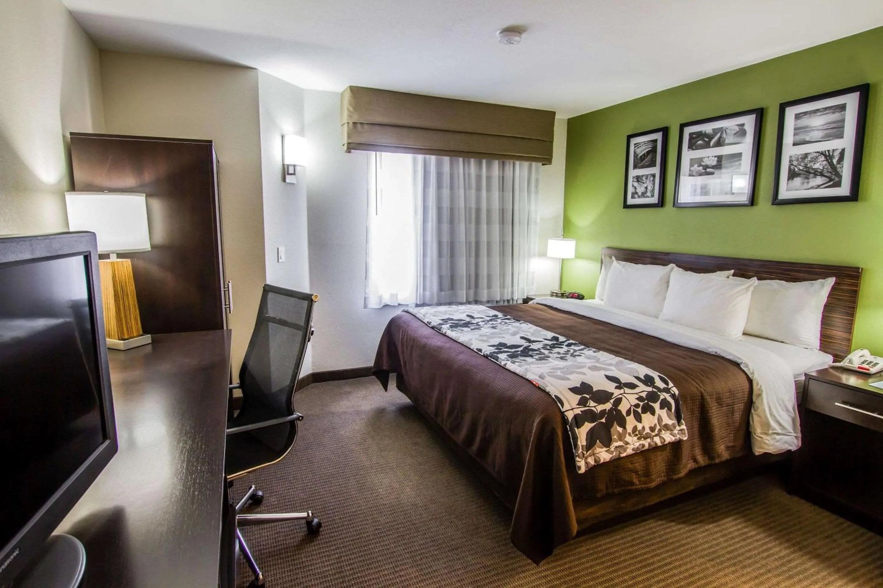 Bedroom, Bed in Sleep Inn Gallup