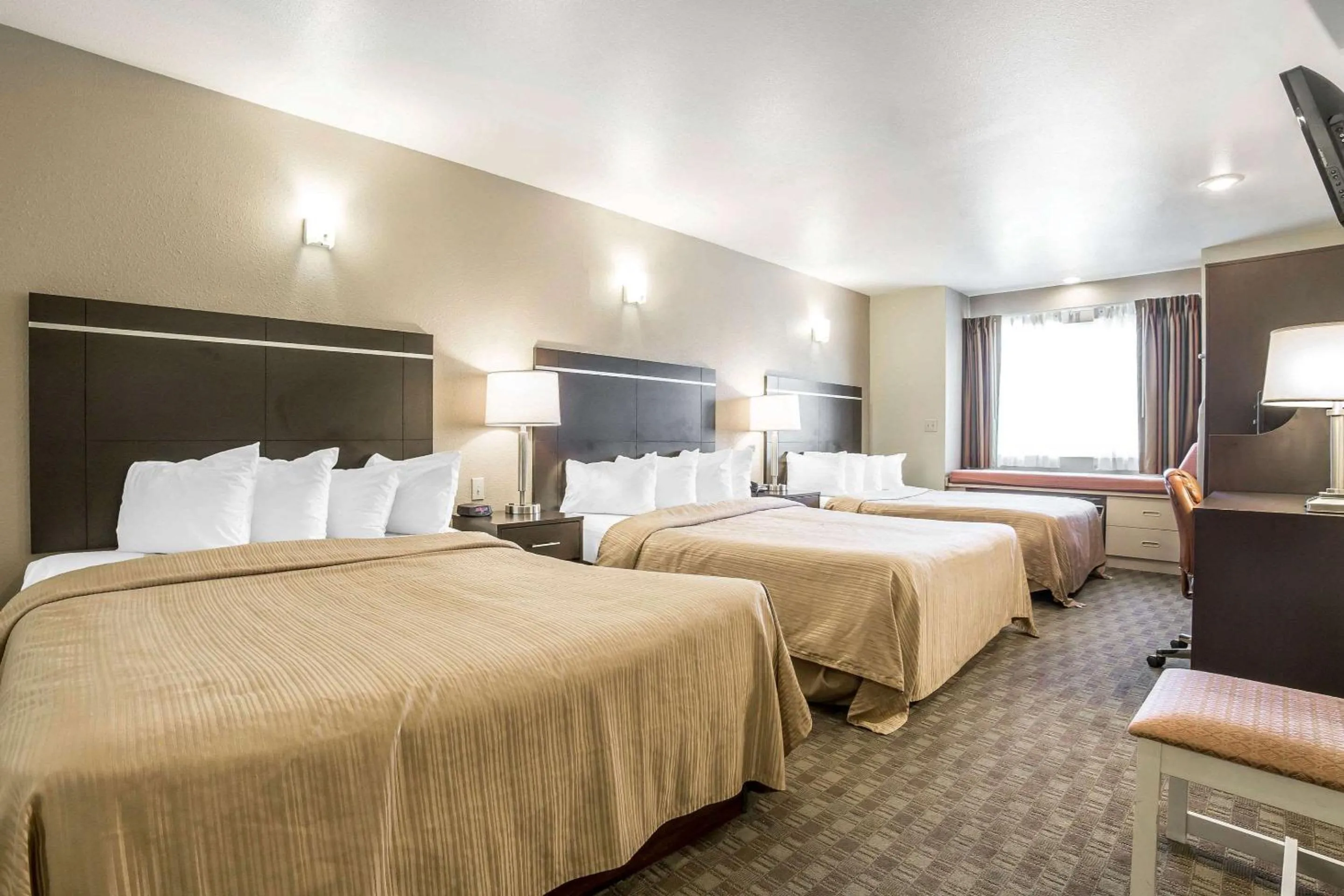 Photo of the whole room, Bed in Quality Inn & Suites Elko