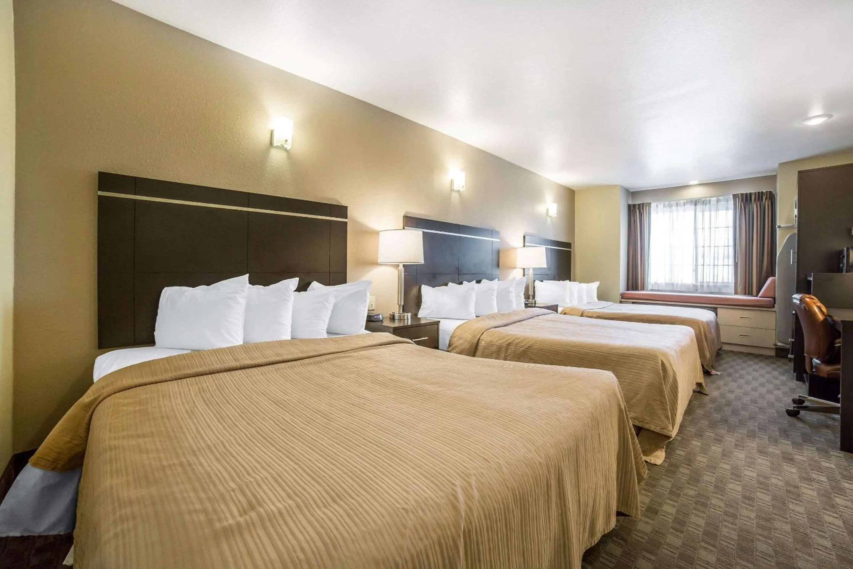 Photo of the whole room, Bed in Quality Inn & Suites Elko