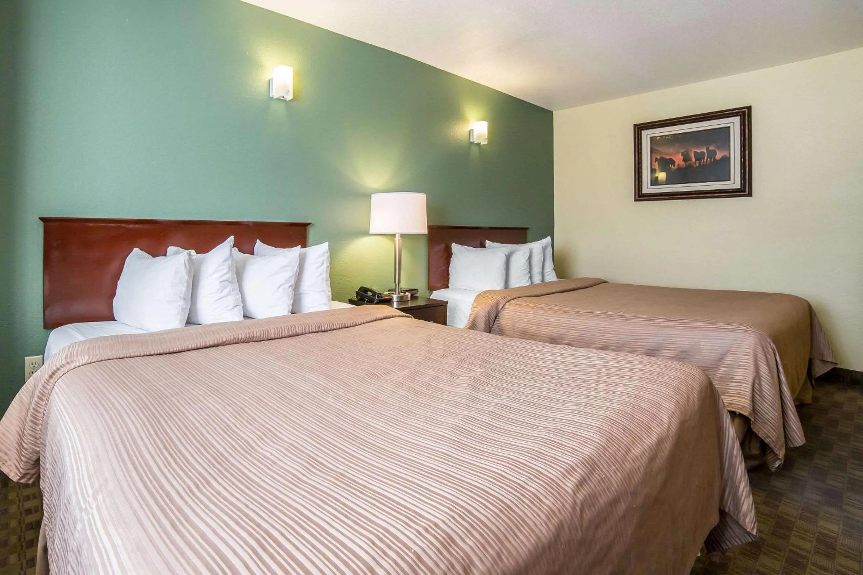 Photo of the whole room, Bed in Quality Inn & Suites Elko