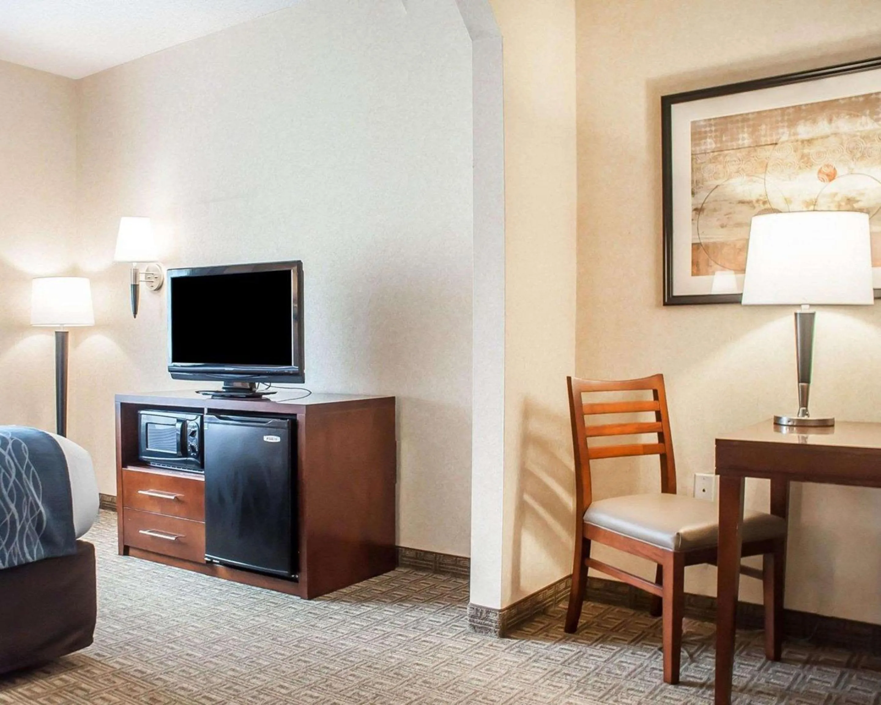 Photo of the whole room in Comfort Inn & Suites Hamburg - Buffalo South