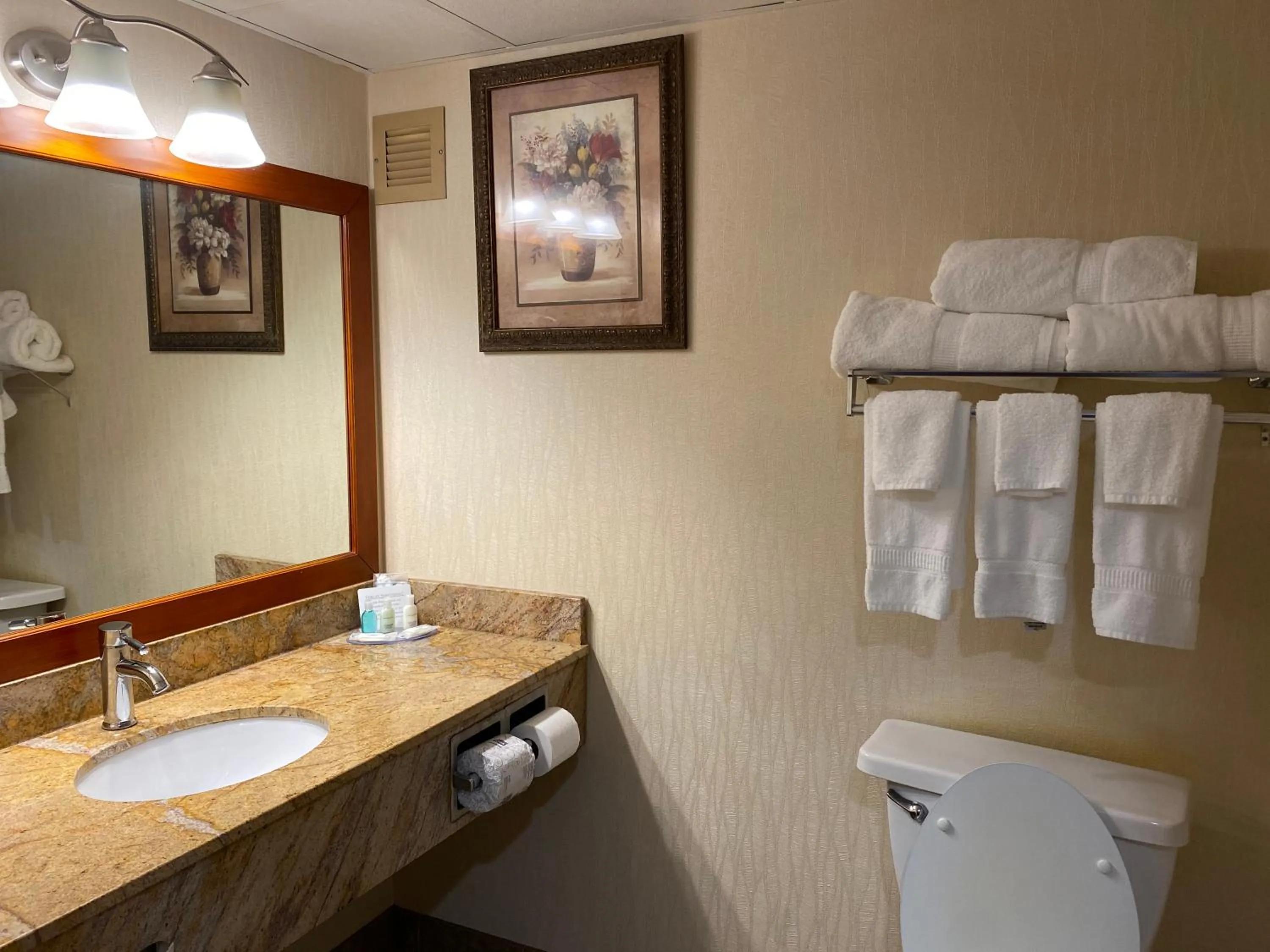 Bathroom in Clarion Hotel Conference Center on Lake Erie