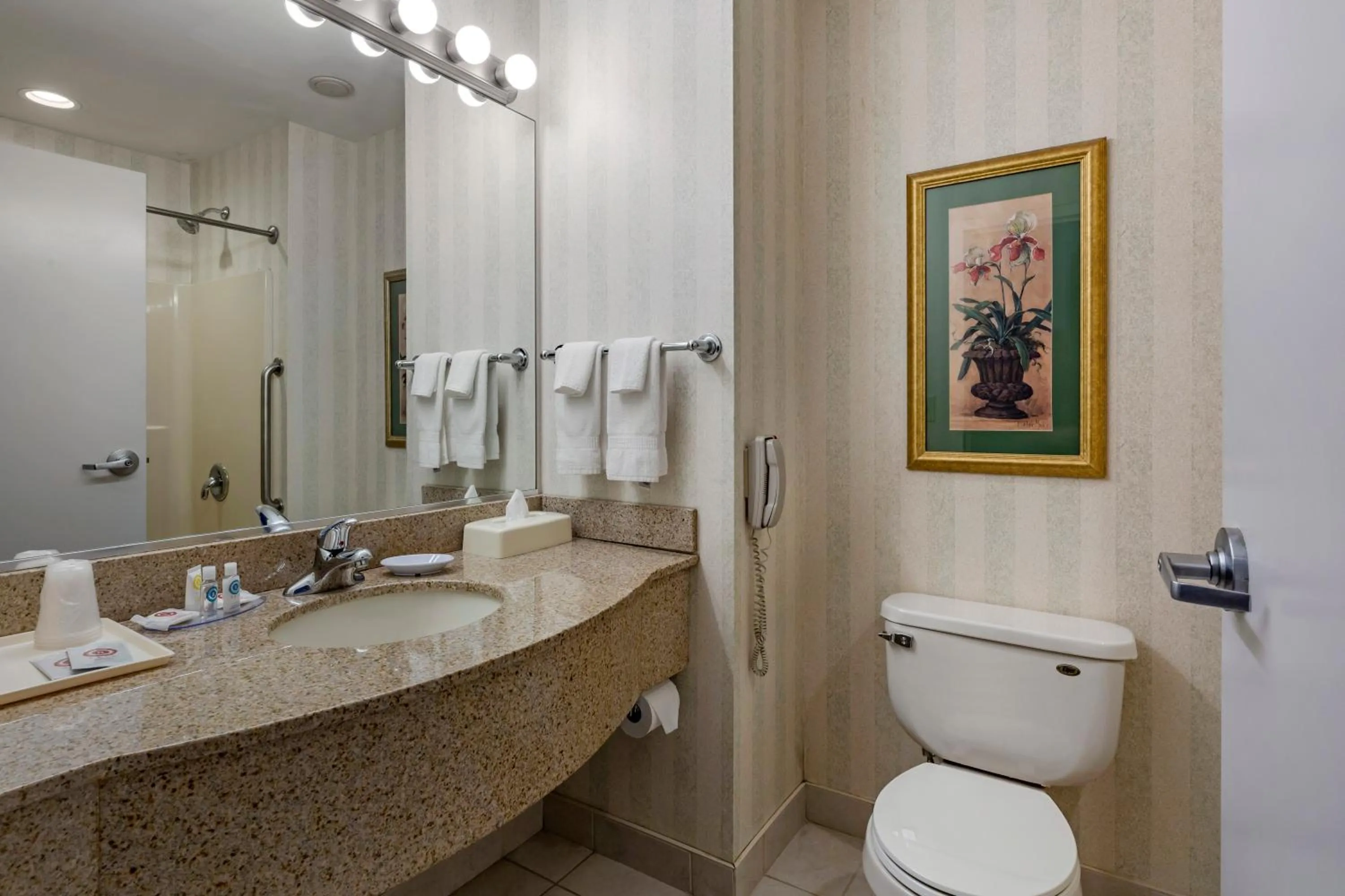 Bathroom in Comfort Inn & Suites East Greenbush - Albany