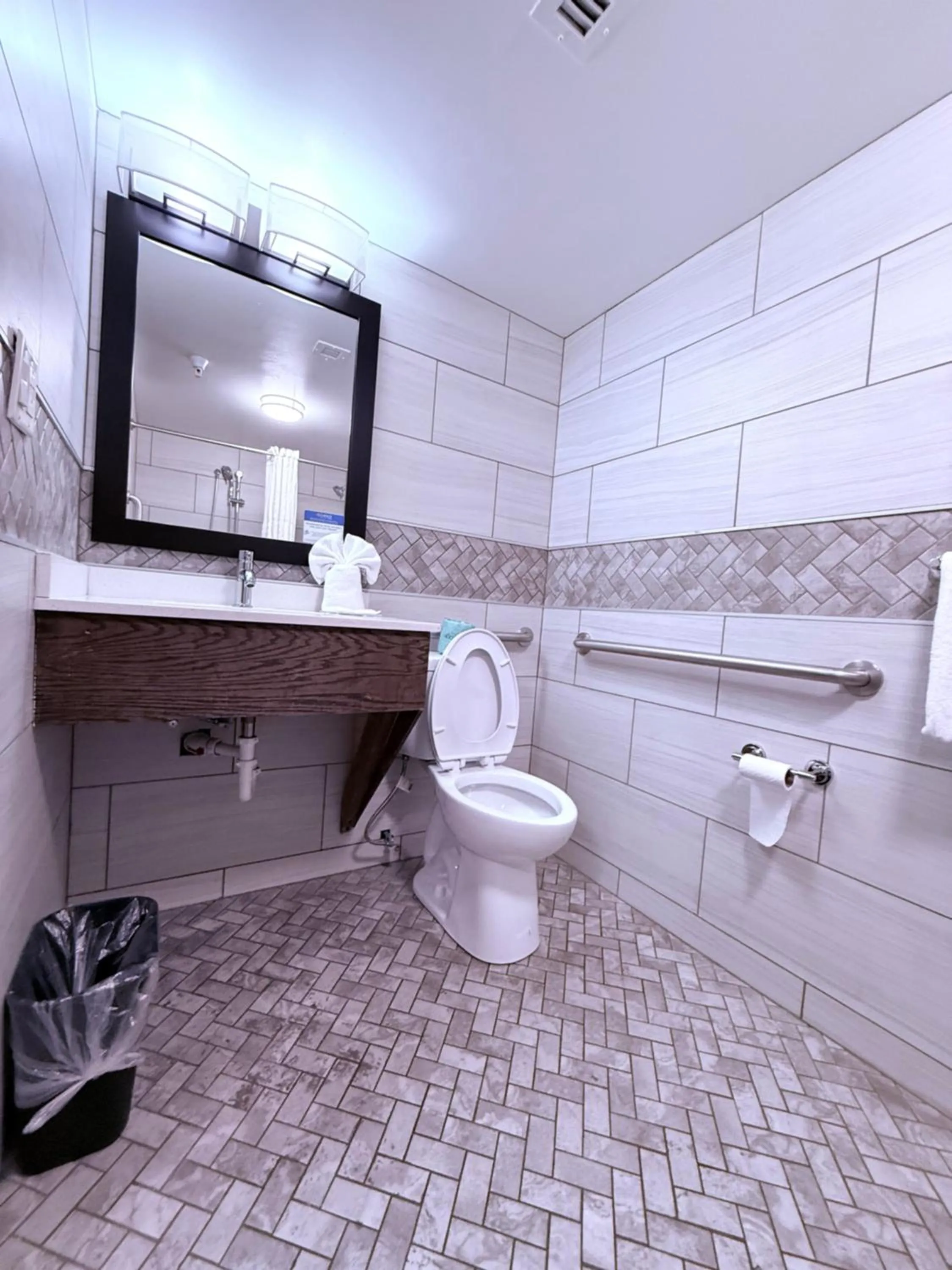 Toilet in Comfort Inn Binghamton I-81