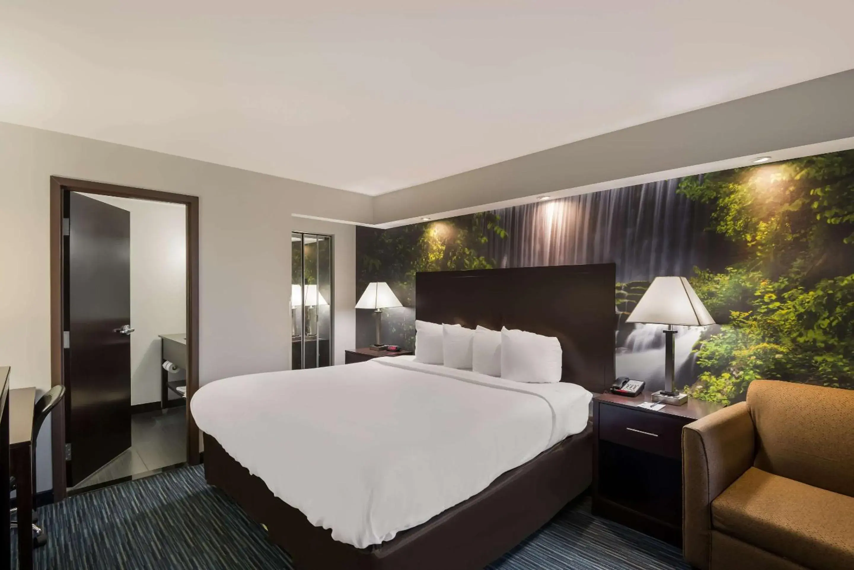 King Room - Non-Smoking in Clarion Pointe Downtown King Room - Non-Smoking in Clarion Pointe Downtown