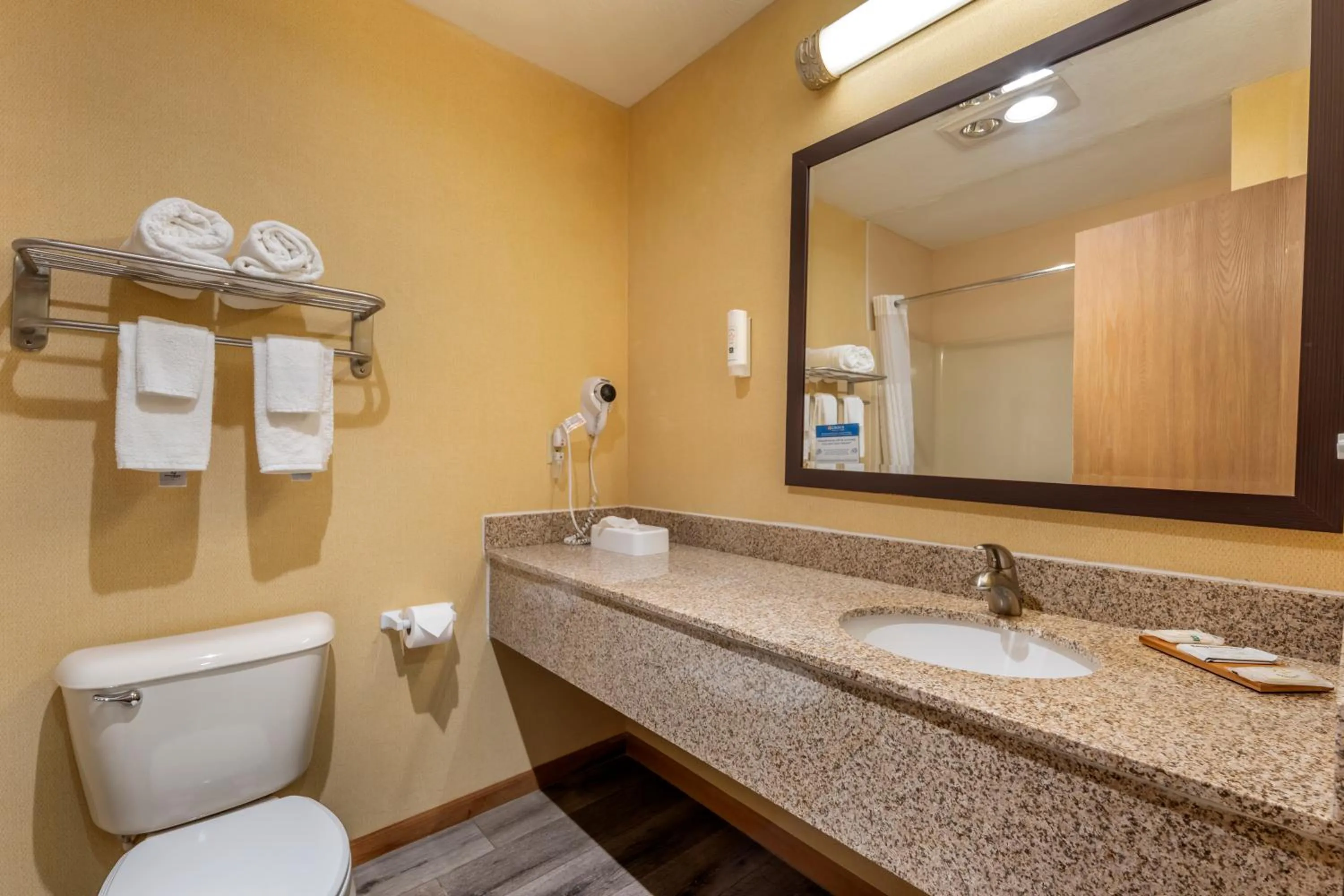 Bathroom in Quality Inn Greenville North