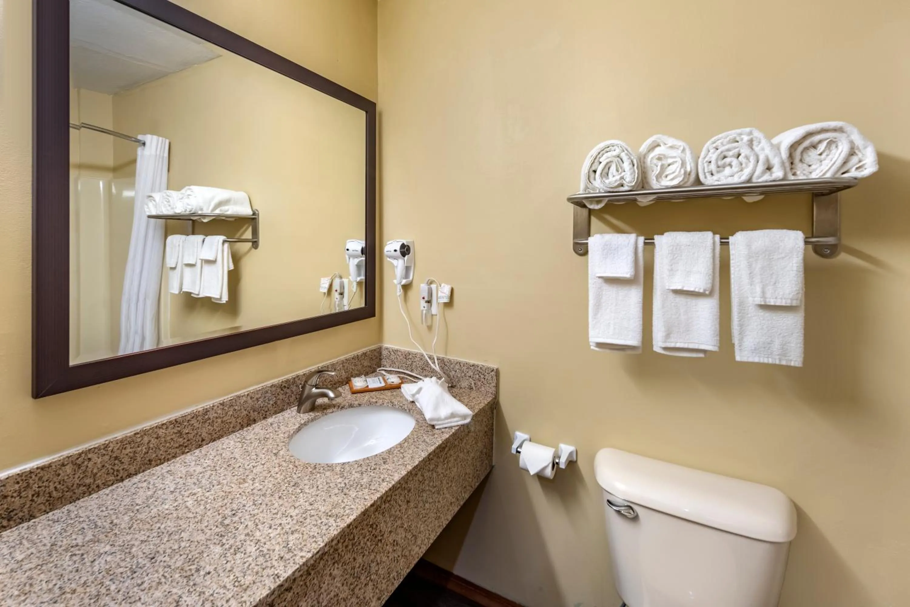 Bathroom in Quality Inn Greenville North