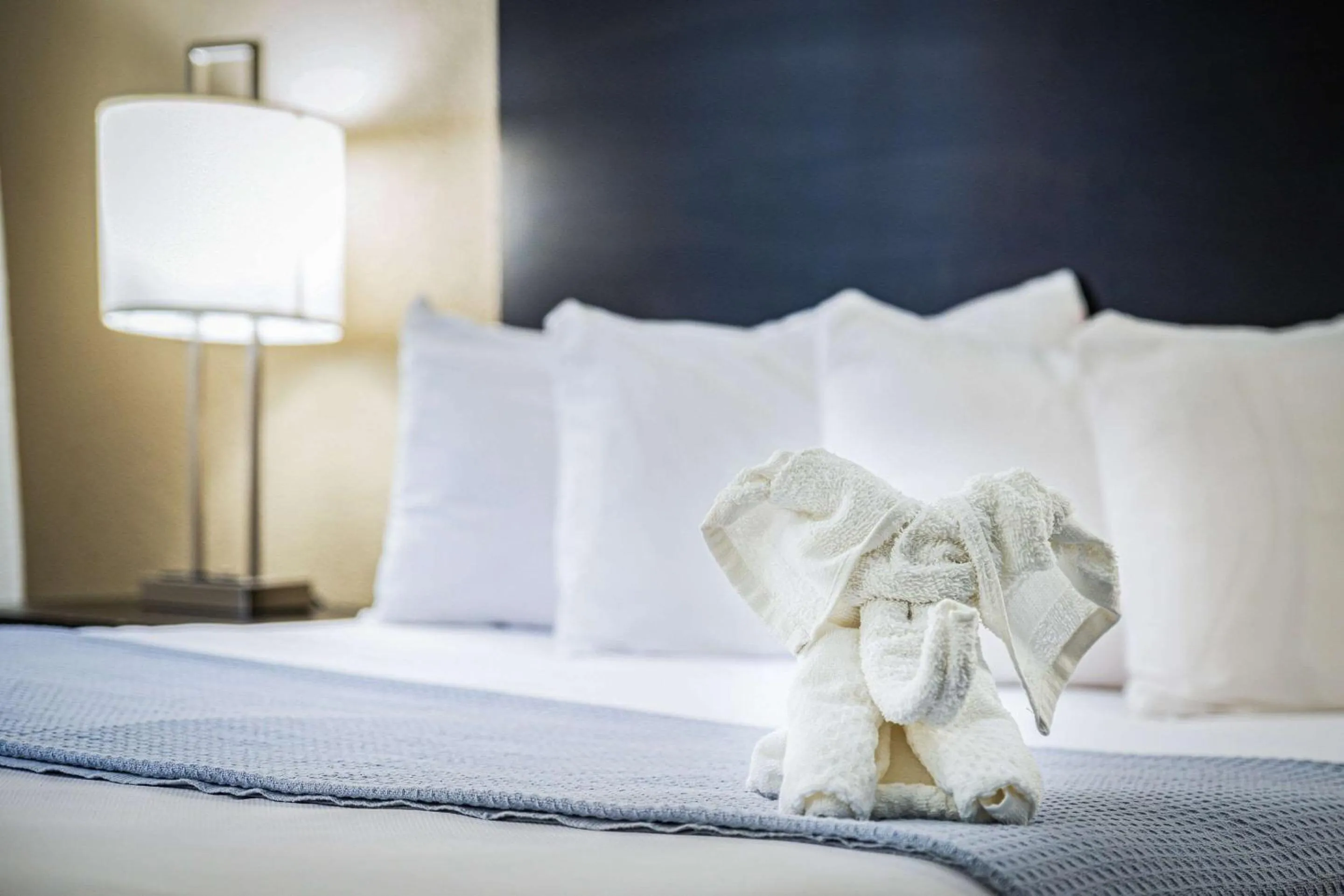 Bedroom, Bed in Econo Lodge Cleveland Southeast - Kent