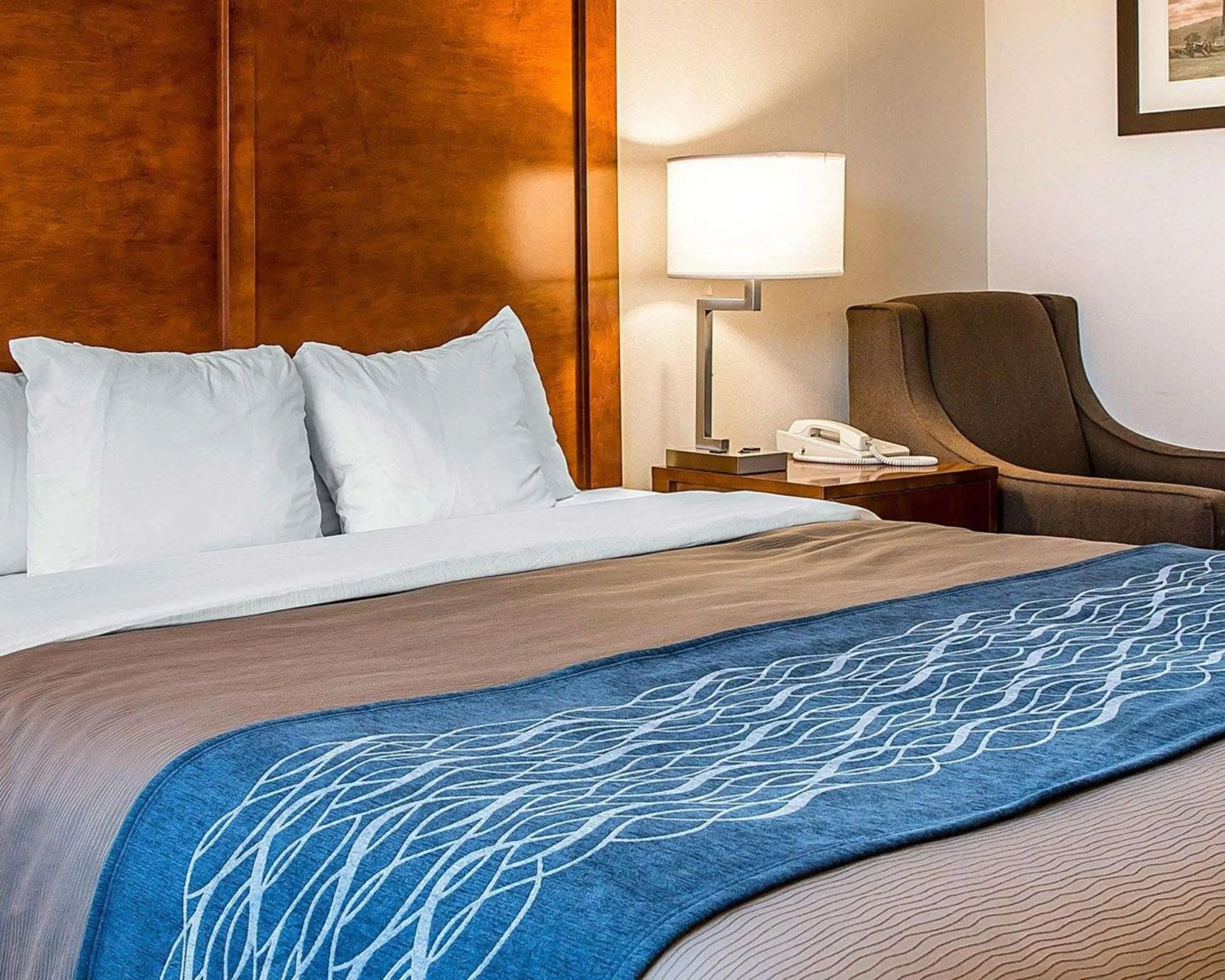 Photo of the whole room, Bed in Comfort Inn Bluffton