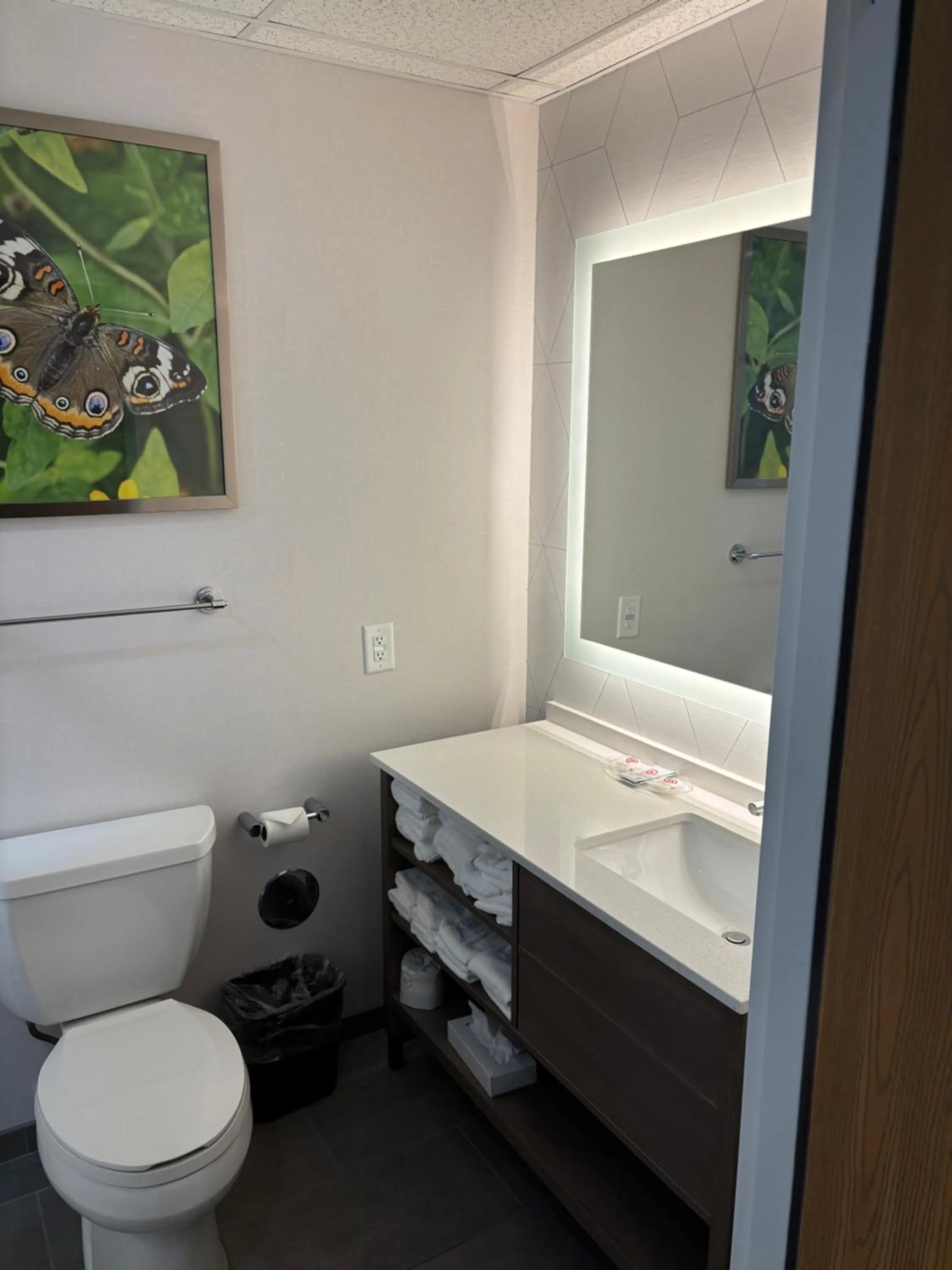 Comfort Suites Hotel and Conference Center