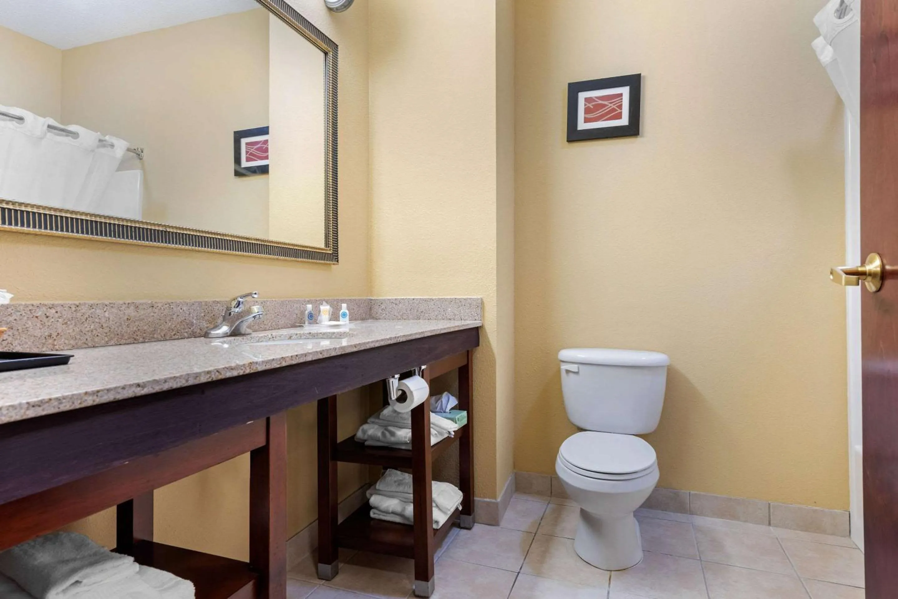 Bathroom in Comfort Suites Findlay I-75 near Sports Complex